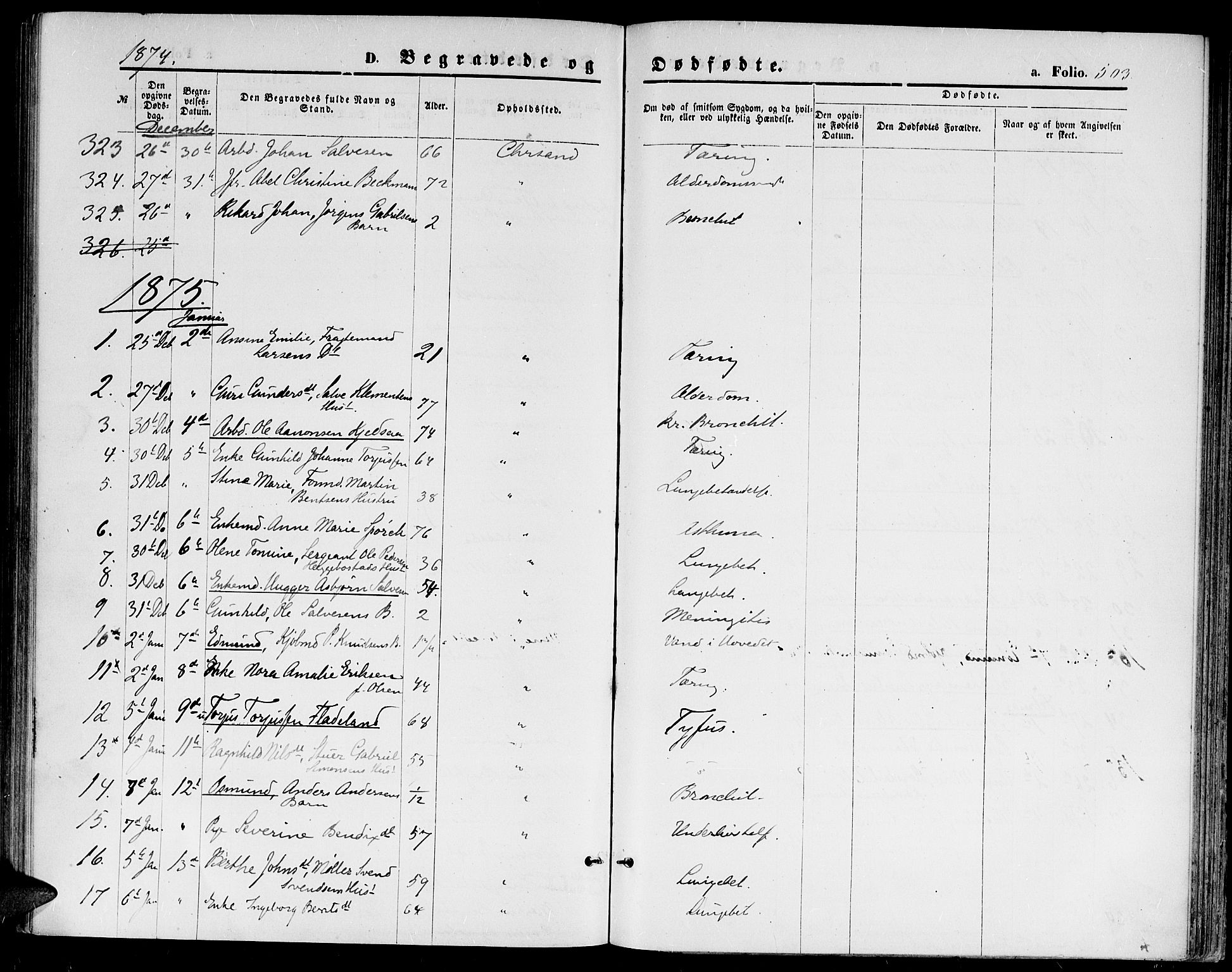 Kristiansand domprosti, SAK/1112-0006/F/Fb/L0013: Parish register (copy) no. B 13, 1871-1880, p. 503