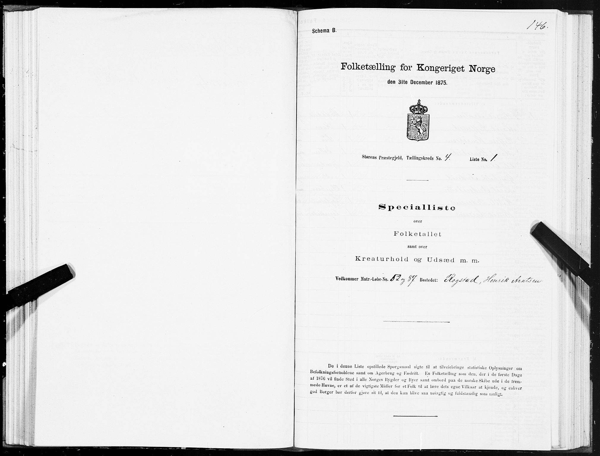 SAT, 1875 census for 1648P Støren, 1875, p. 2146