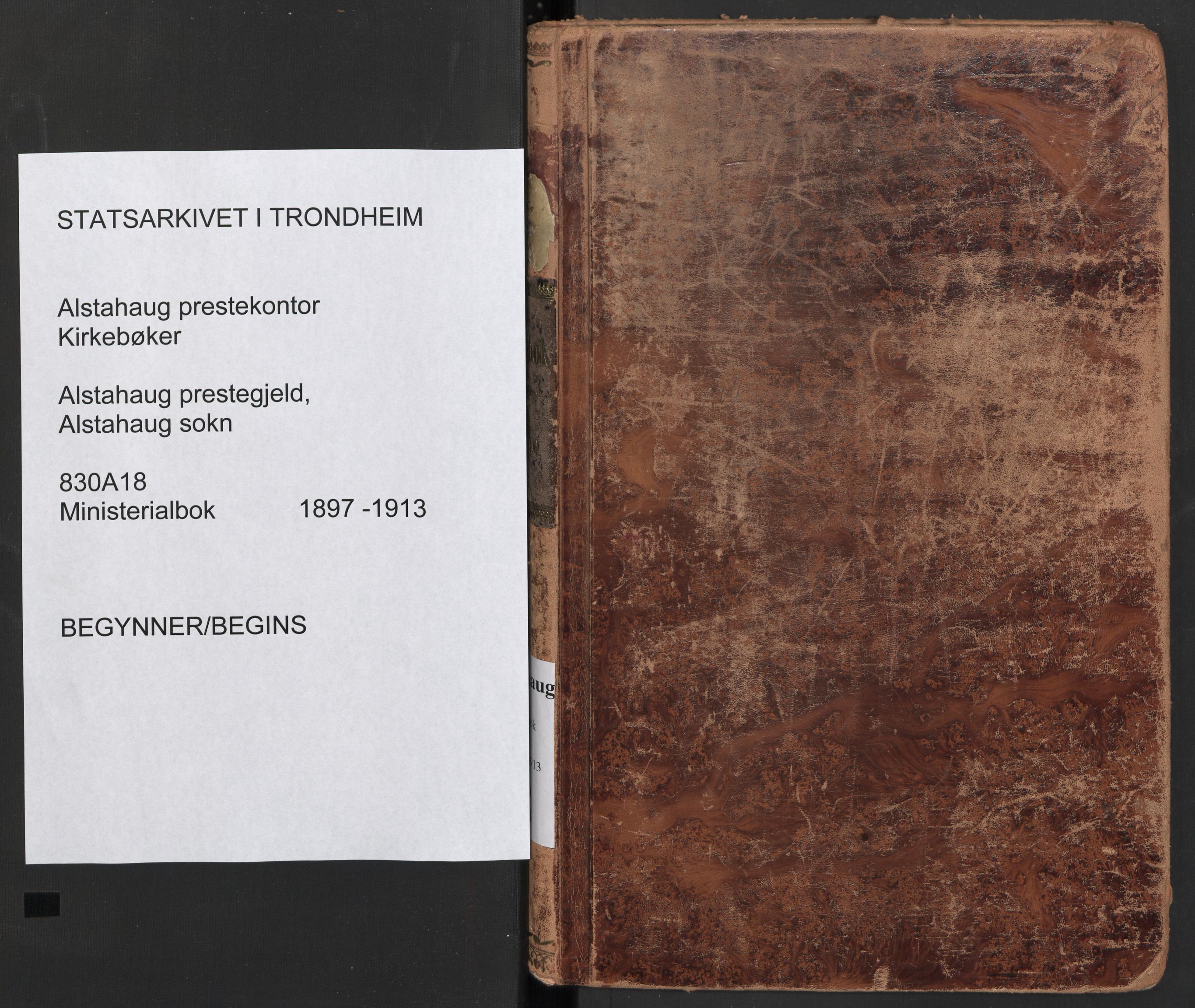Ministerialprotokoller, klokkerbøker og fødselsregistre - Nordland, SAT/A-1459/830/L0455: Parish register (official) no. 830A19, 1912-1942