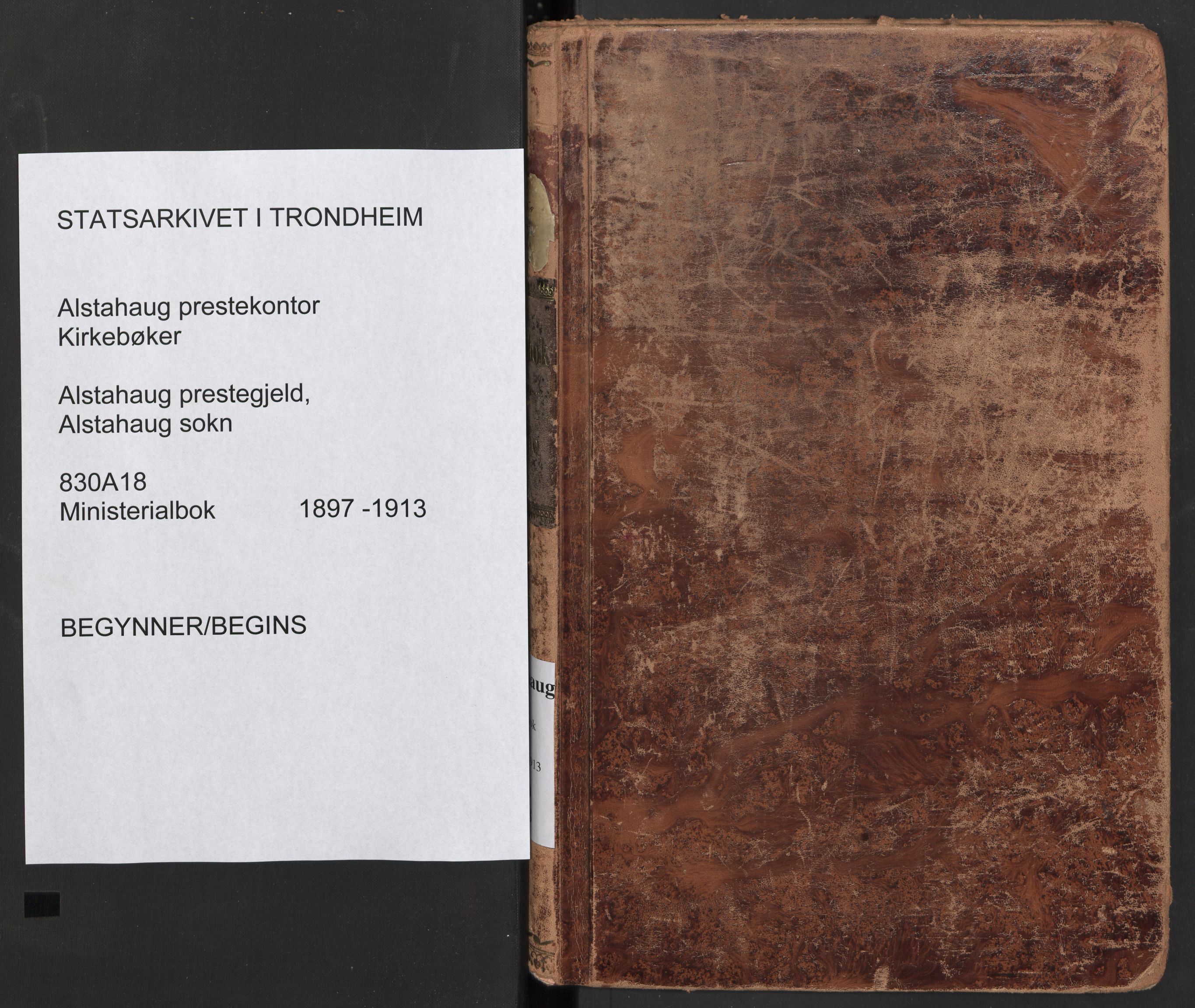 Ministerialprotokoller, klokkerbøker og fødselsregistre - Nordland, AV/SAT-A-1459/830/L0455: Parish register (official) no. 830A19, 1912-1942