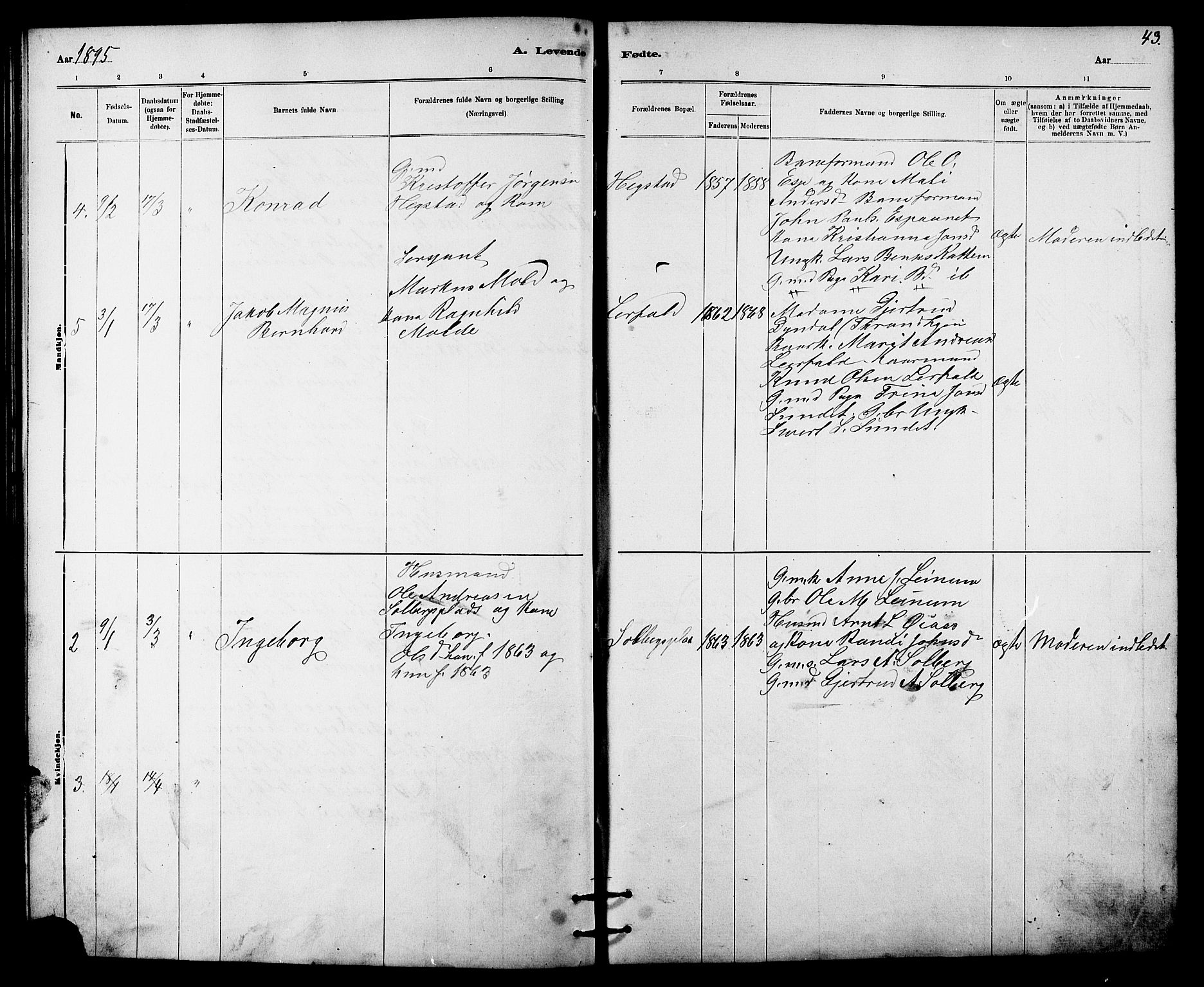 Ministerialprotokoller, klokkerbøker og fødselsregistre - Sør-Trøndelag, SAT/A-1456/613/L0395: Parish register (copy) no. 613C03, 1887-1909, p. 43