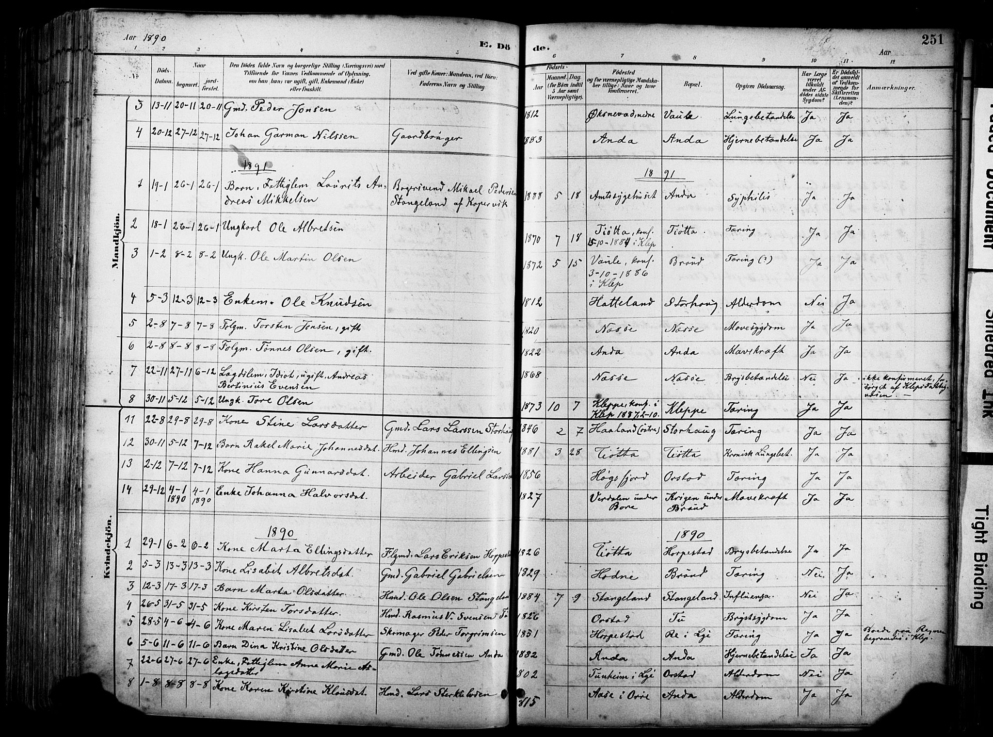 Klepp sokneprestkontor, SAST/A-101803/001/3/30BA/L0009: Parish register (official) no. A 7, 1886-1915, p. 251