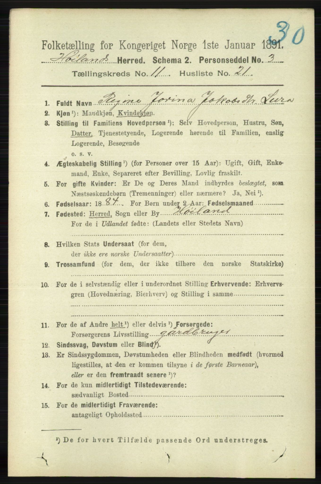 RA, 1891 census for 1123 Høyland, 1891, p. 4601