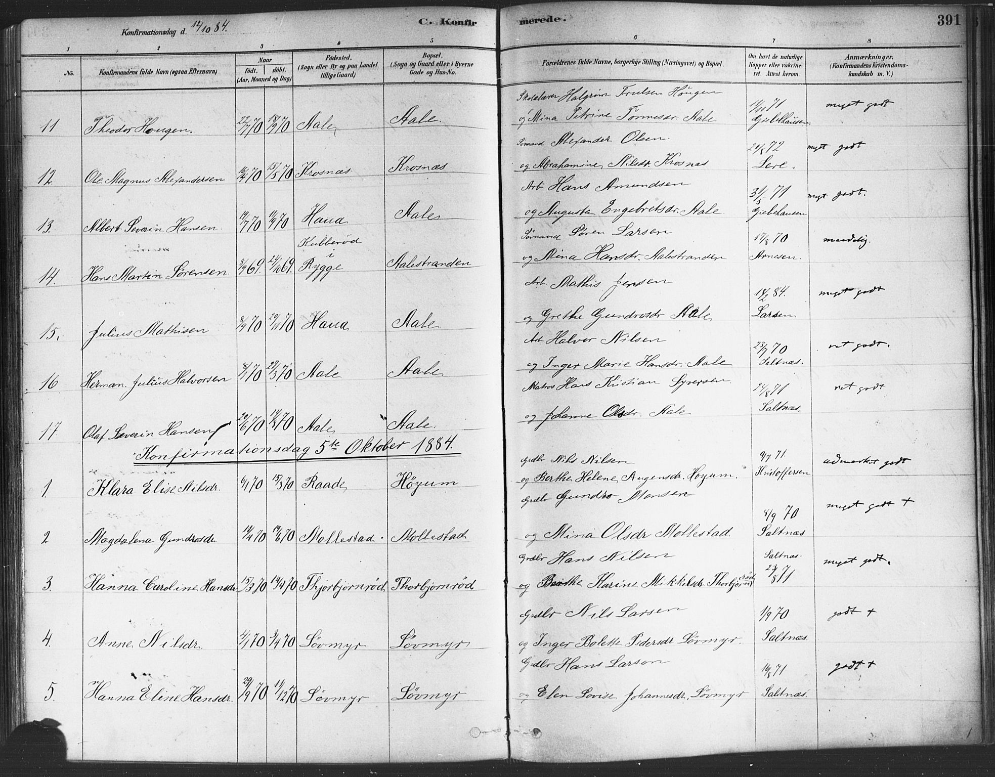 Onsøy prestekontor Kirkebøker, SAO/A-10914/F/Fa/L0005: Parish register (official) no. I 5, 1878-1898, p. 391