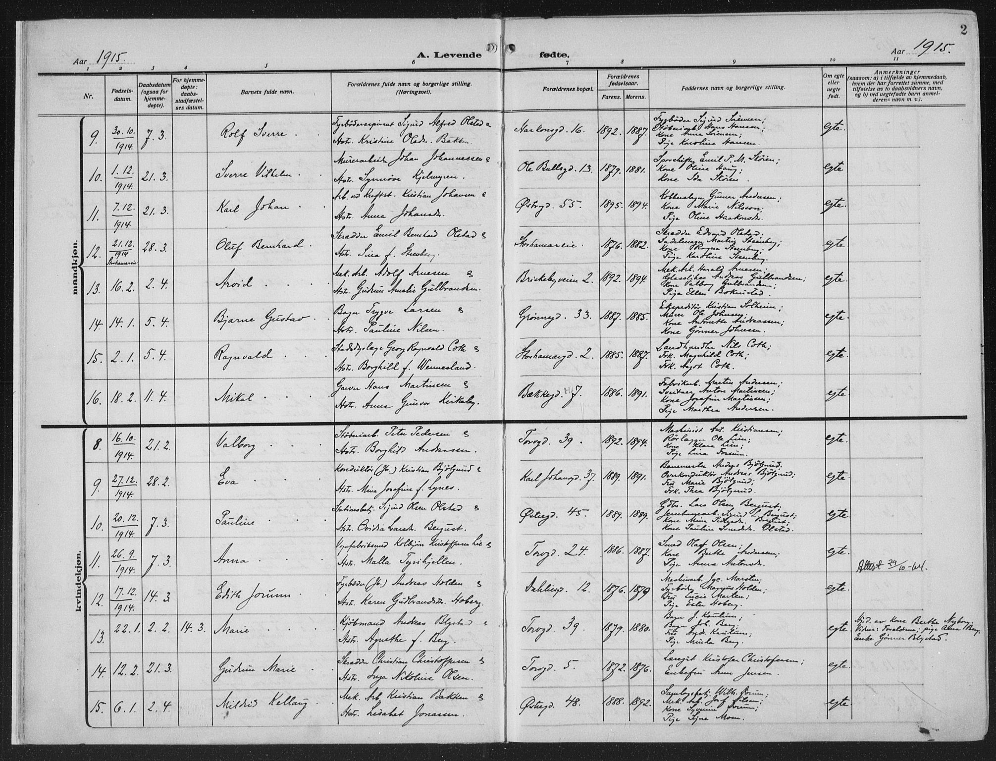 Hamar prestekontor, AV/SAH-DOMPH-002/H/Ha/Haa/L0002: Parish register (official) no. 2, 1915-1936, p. 2