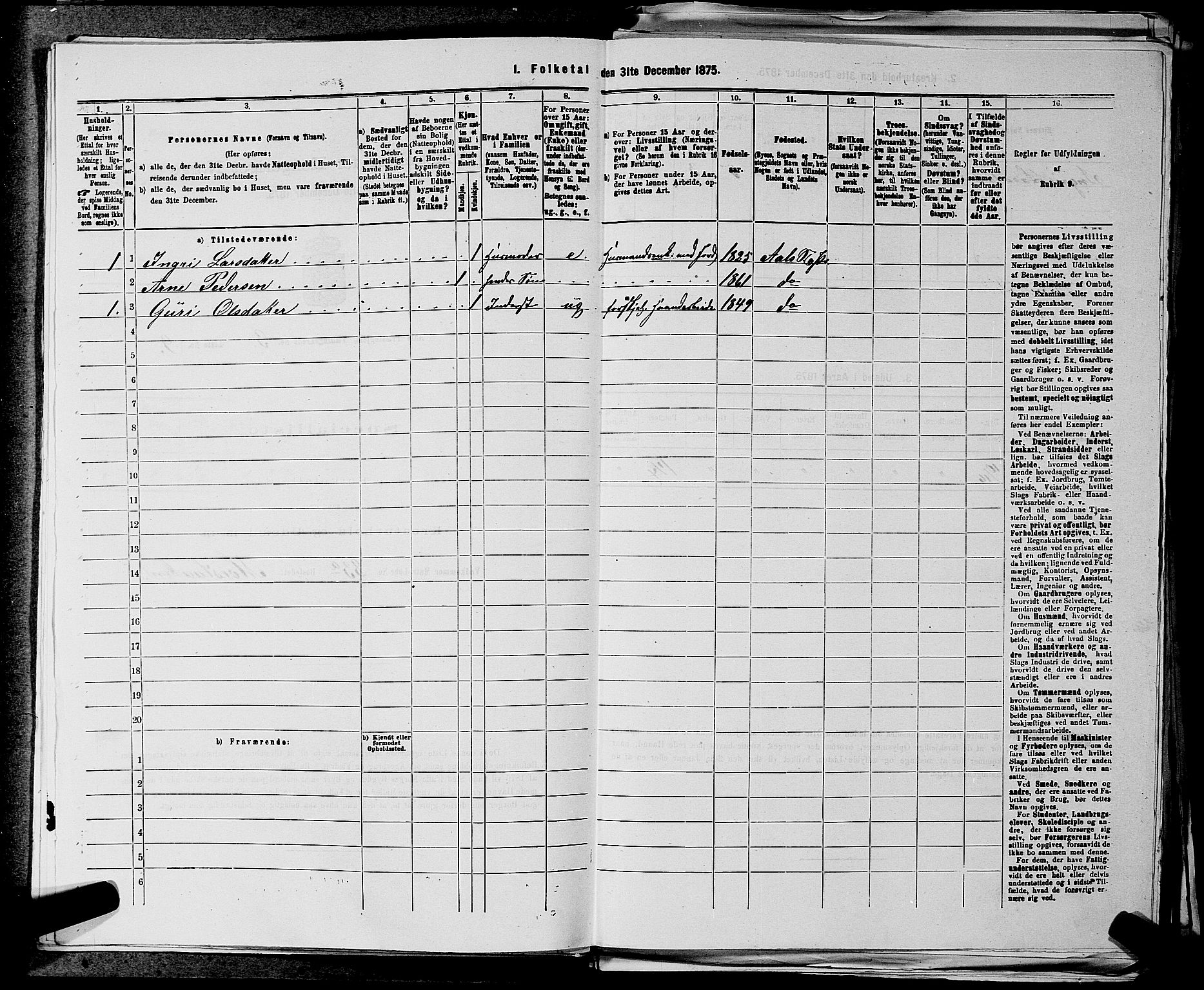 SAKO, 1875 census for 0619P Ål, 1875, p. 333