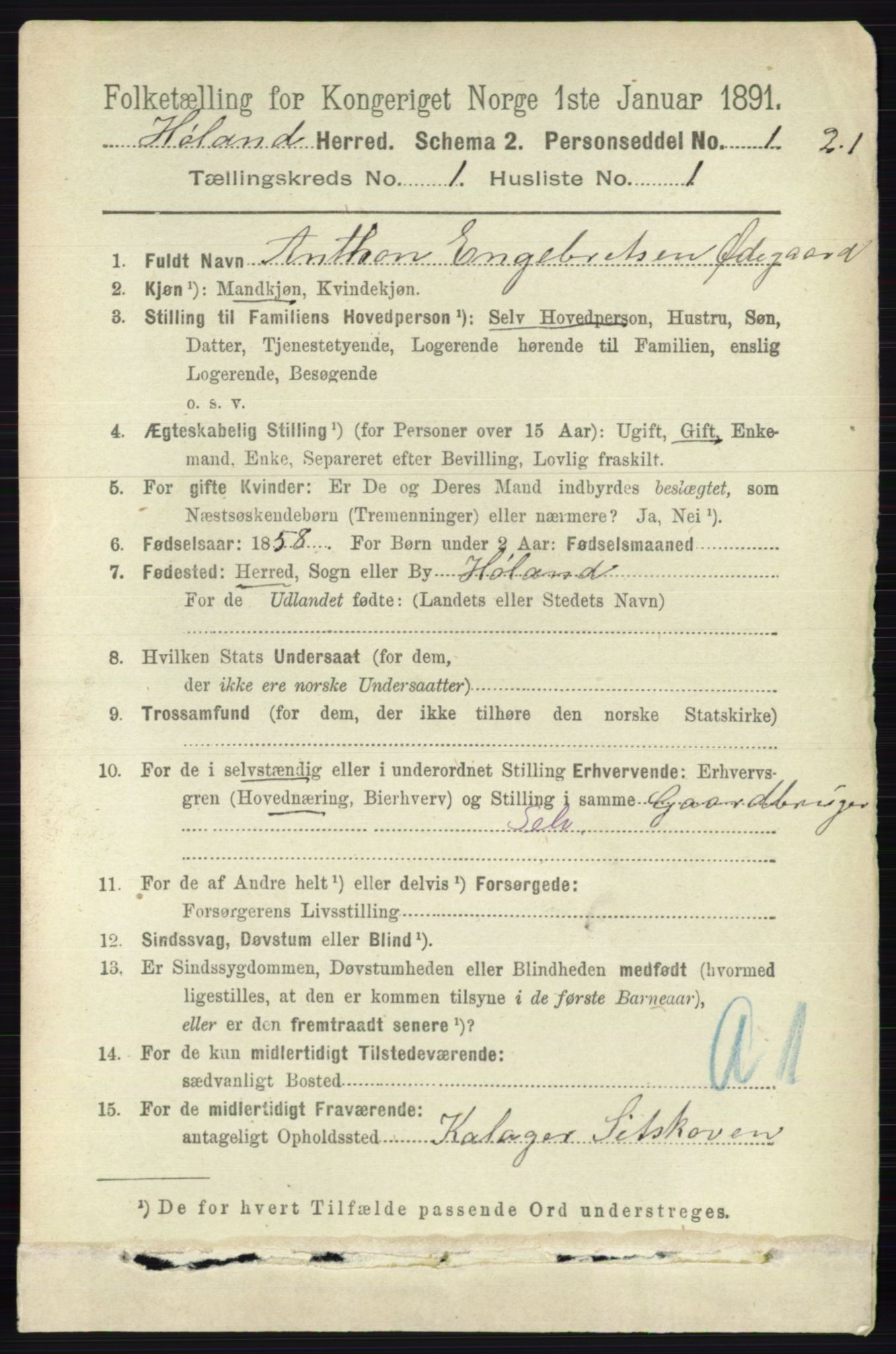 RA, 1891 census for 0221 Høland, 1891, p. 166