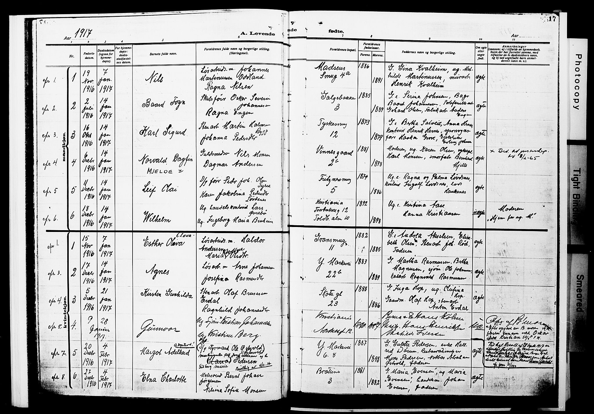 Nykirken Sokneprestembete, AV/SAB-A-77101/H/Hab: Parish register (copy) no. B 7, 1916-1921, p. 17