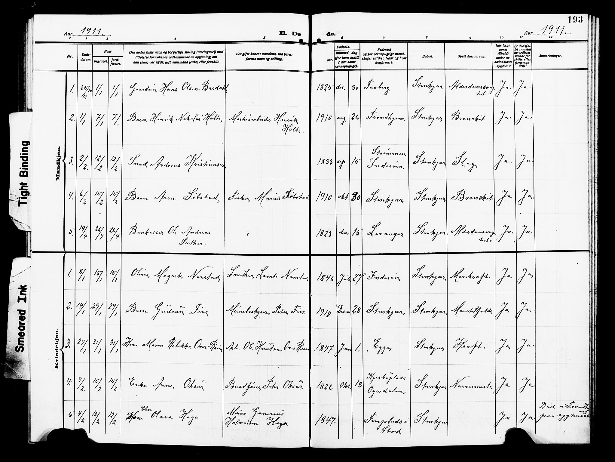 Ministerialprotokoller, klokkerbøker og fødselsregistre - Nord-Trøndelag, SAT/A-1458/739/L0376: Parish register (copy) no. 739C04, 1908-1917, p. 193