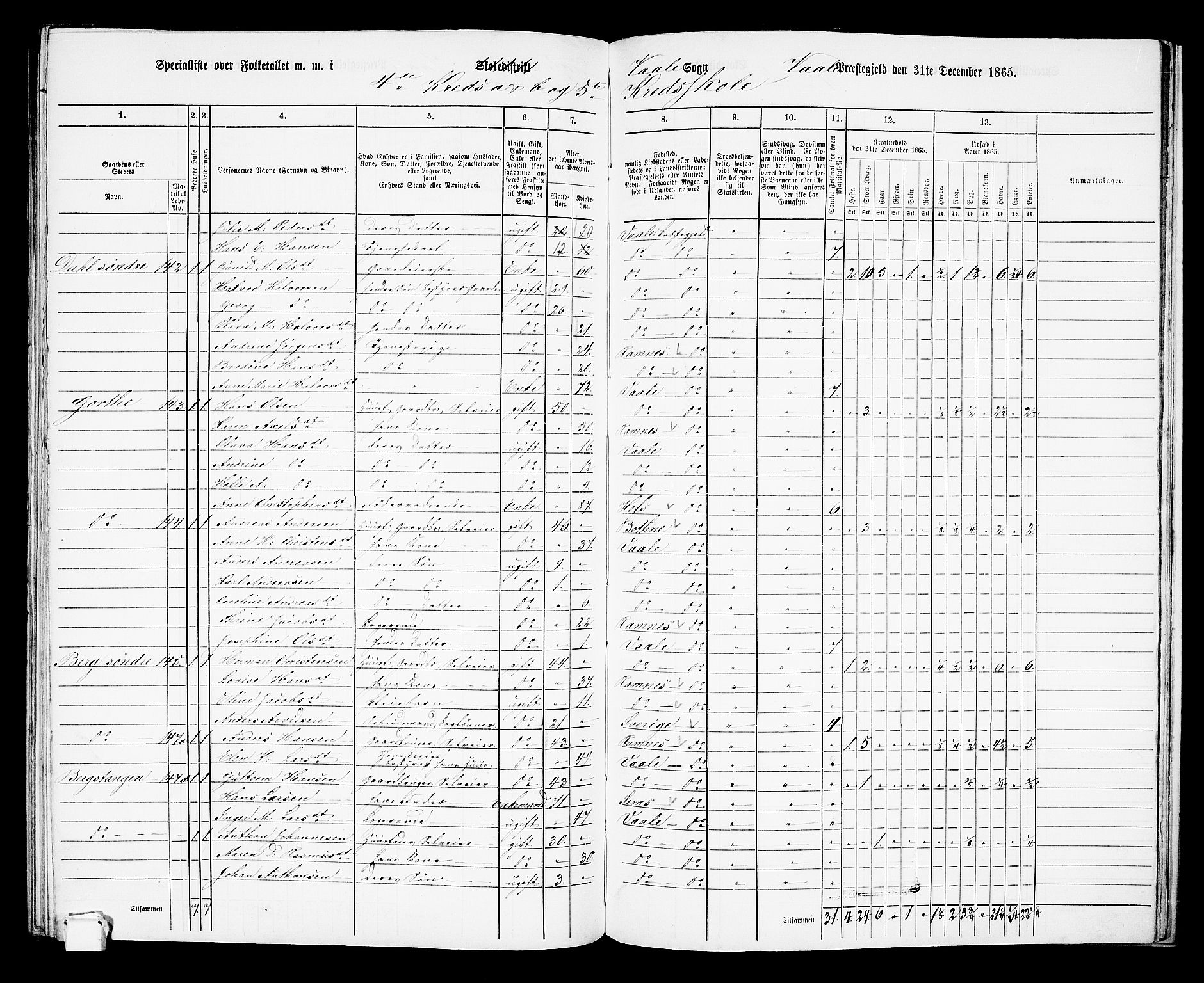 RA, 1865 census for Våle, 1865, p. 51