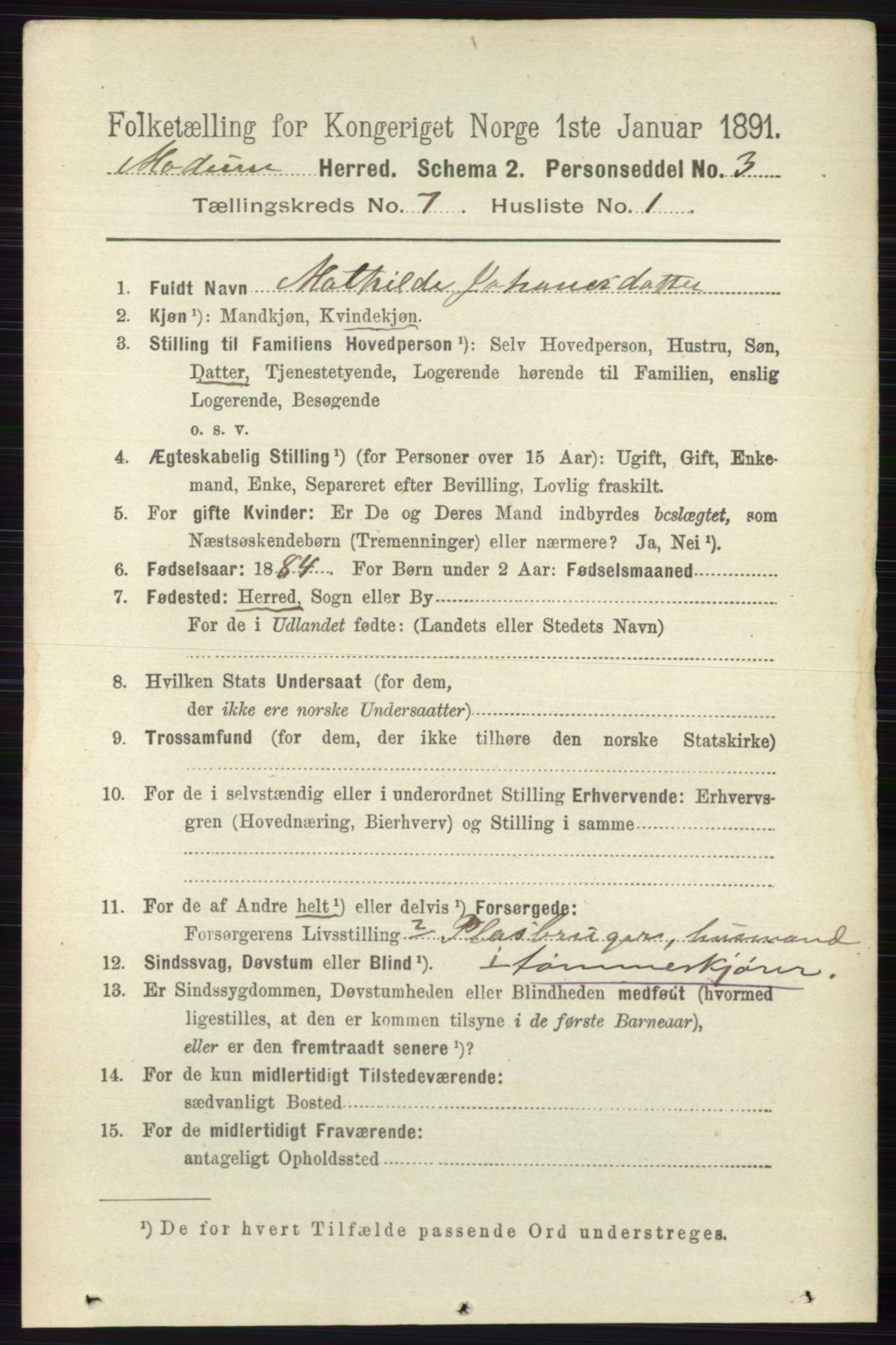 RA, 1891 census for 0623 Modum, 1891, p. 2729