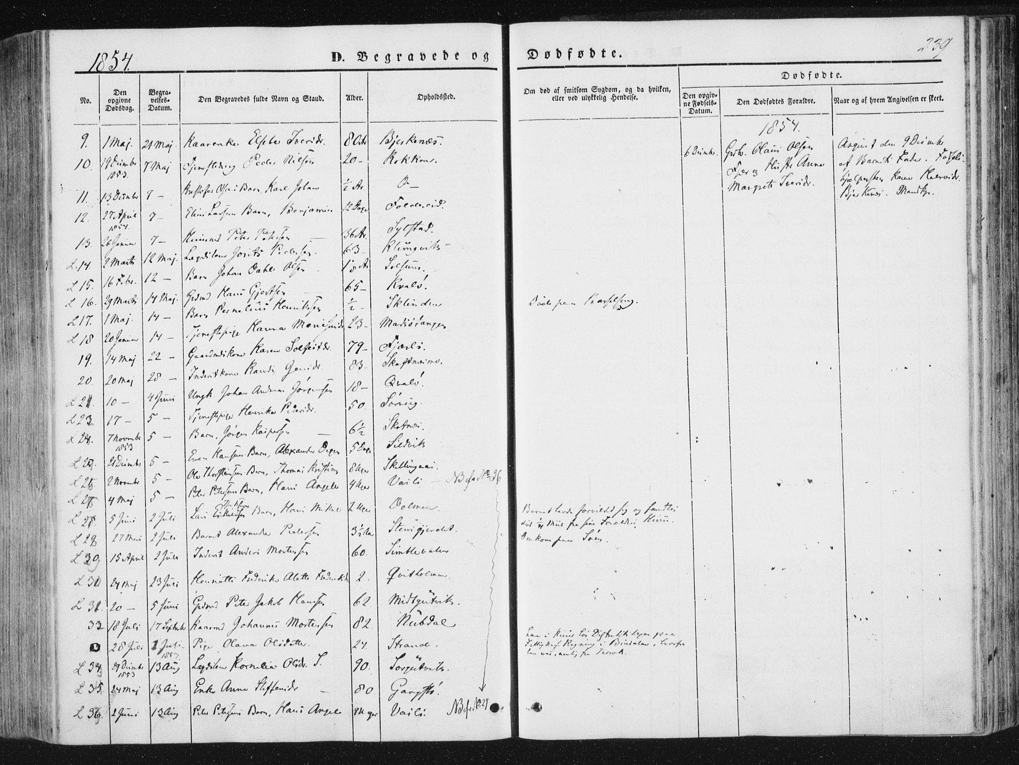 Ministerialprotokoller, klokkerbøker og fødselsregistre - Nord-Trøndelag, AV/SAT-A-1458/780/L0640: Parish register (official) no. 780A05, 1845-1856, p. 239