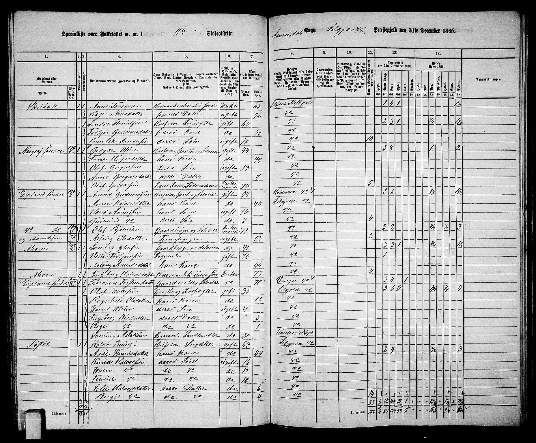 RA, 1865 census for Seljord, 1865, p. 149