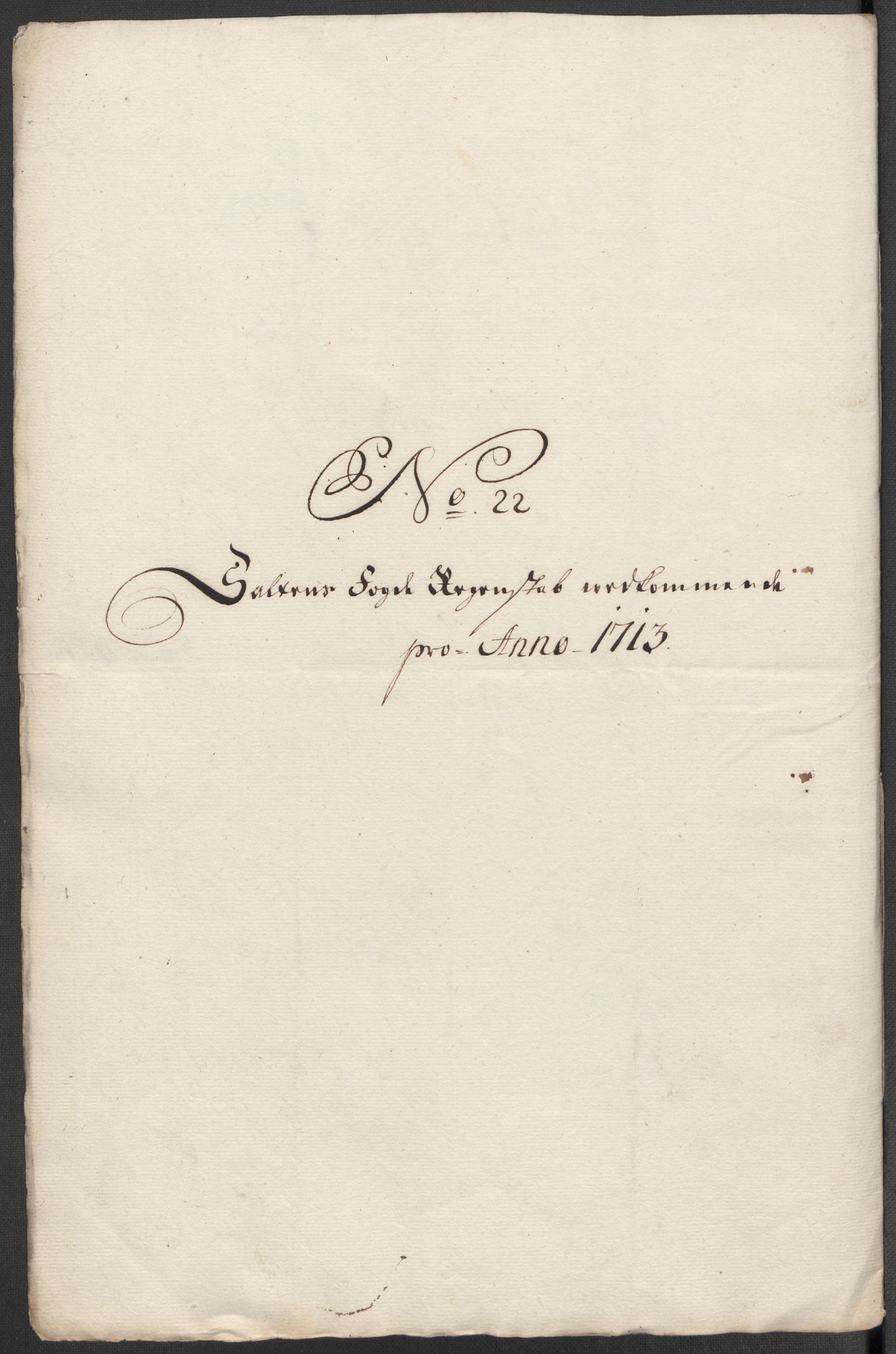 Rentekammeret inntil 1814, Reviderte regnskaper, Fogderegnskap, AV/RA-EA-4092/R66/L4583: Fogderegnskap Salten, 1713, p. 170