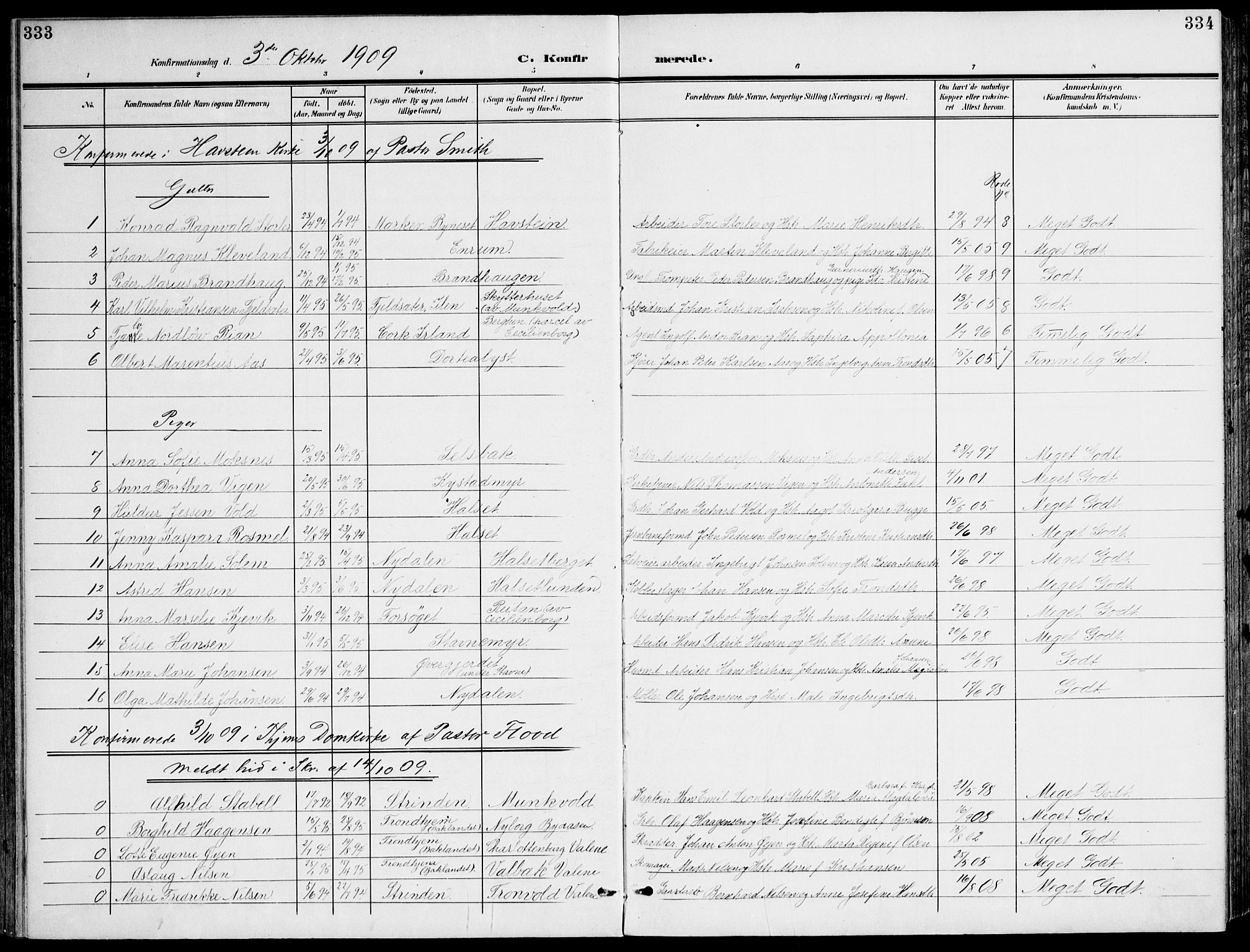 Ministerialprotokoller, klokkerbøker og fødselsregistre - Sør-Trøndelag, SAT/A-1456/607/L0320: Parish register (official) no. 607A04, 1907-1915, p. 333-334