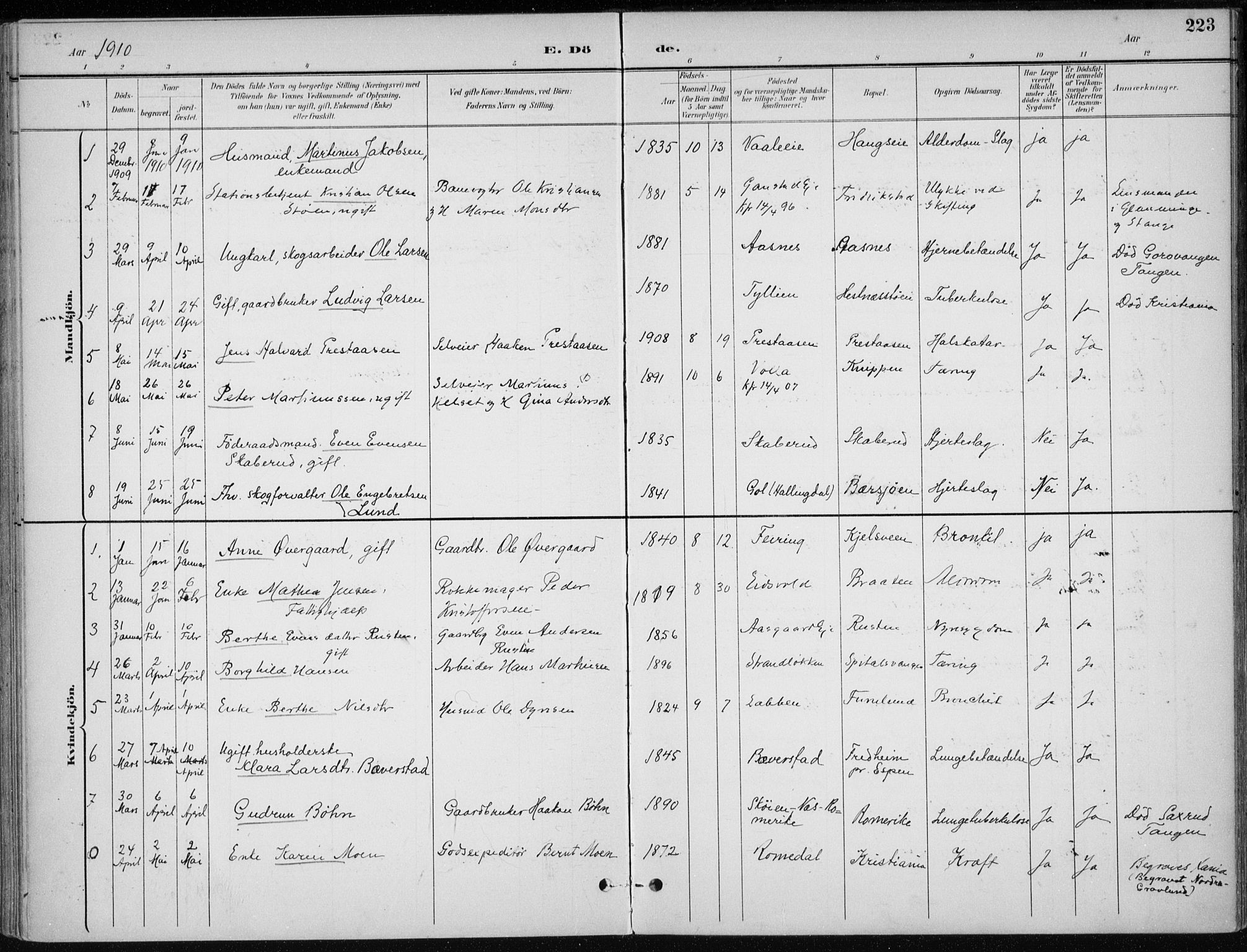 Stange prestekontor, AV/SAH-PREST-002/K/L0023: Parish register (official) no. 23, 1897-1920, p. 223