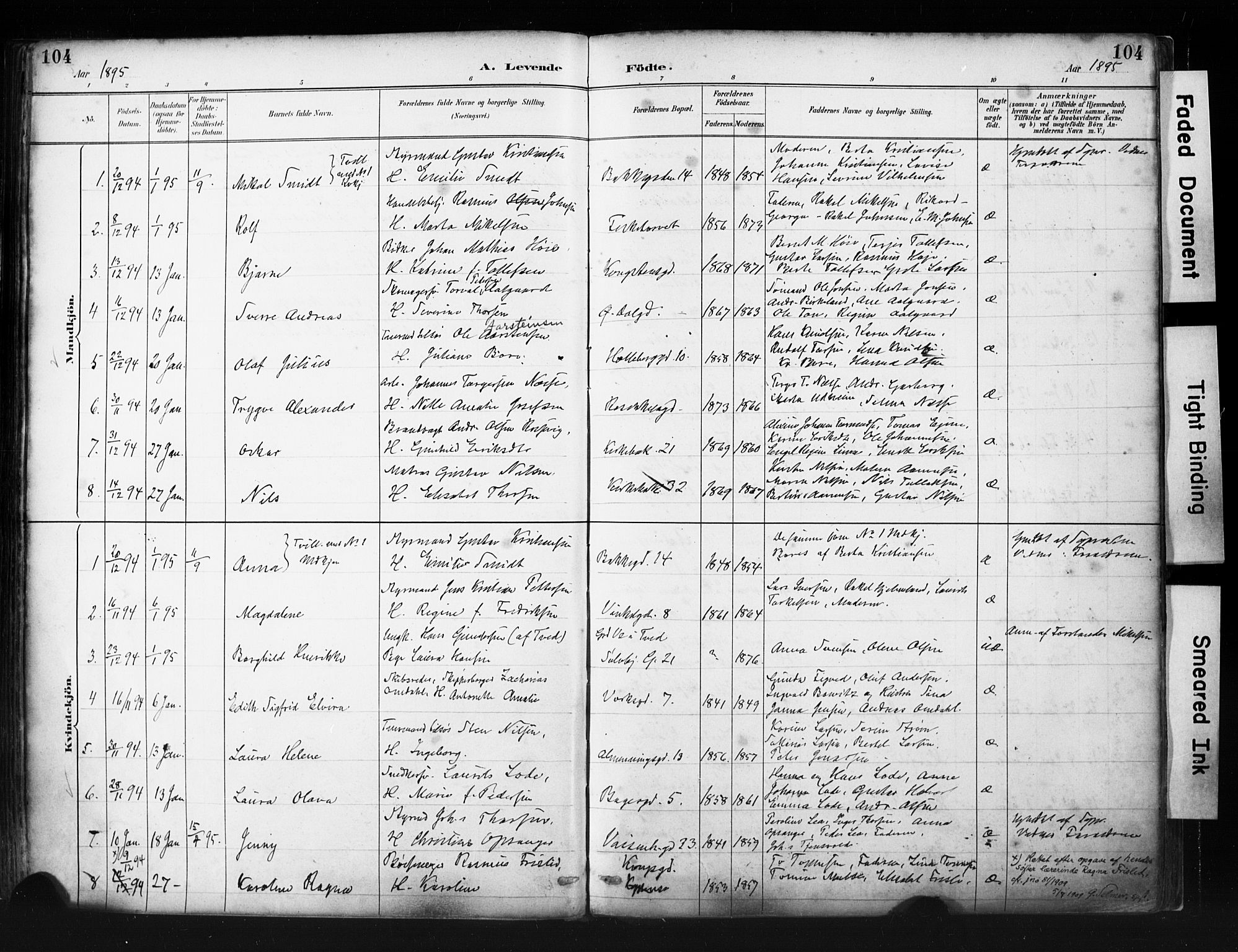 St. Petri sokneprestkontor, AV/SAST-A-101813/001/30/30BA/L0019: Parish register (official) no. A 20, 1888-1901, p. 104