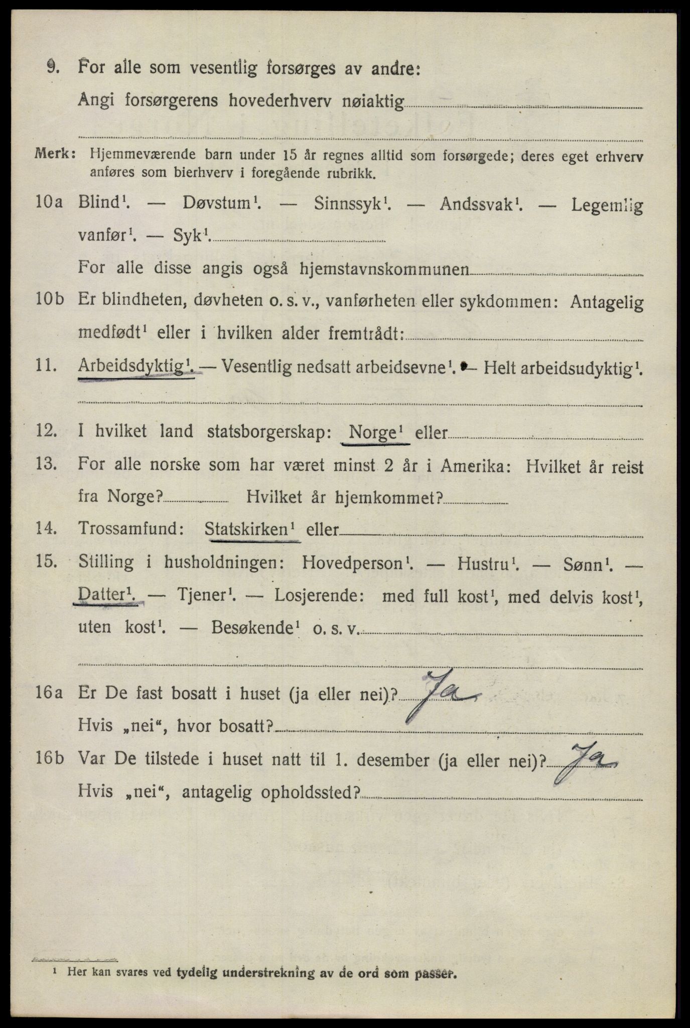 SAO, 1920 census for Nes, 1920, p. 3395