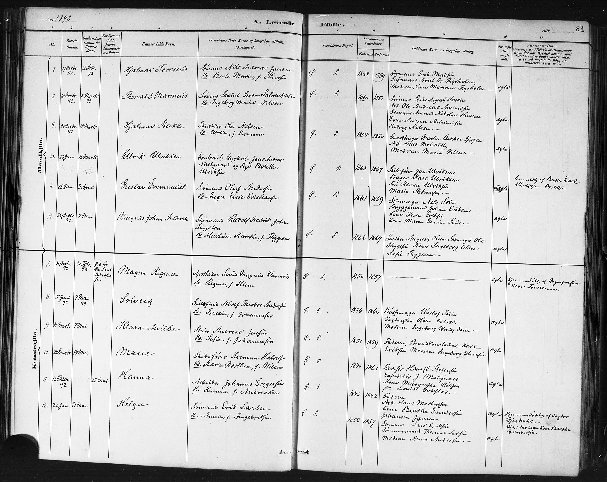 Porsgrunn kirkebøker , SAKO/A-104/G/Gb/L0005: Parish register (copy) no. II 5, 1883-1915, p. 84