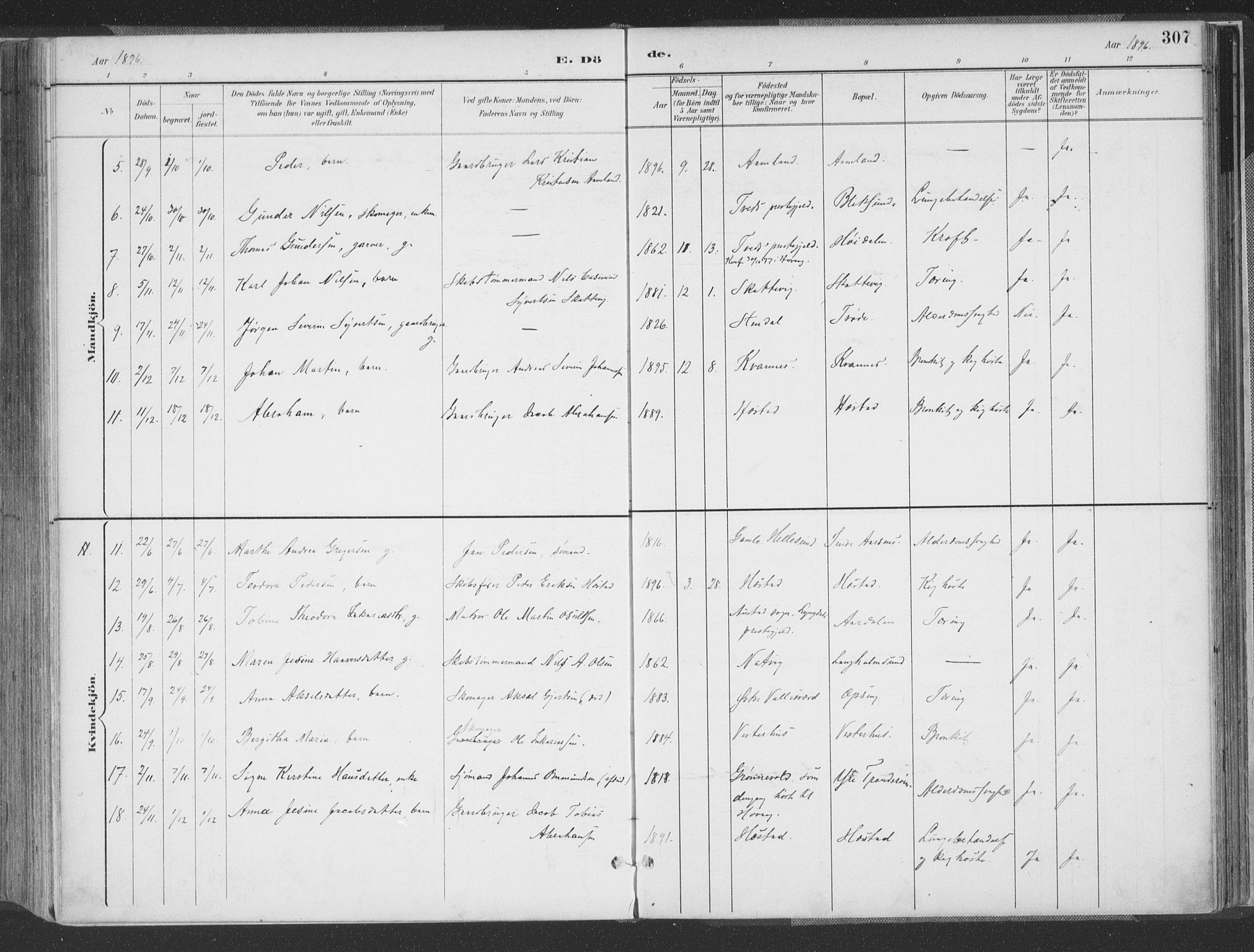 Høvåg sokneprestkontor, AV/SAK-1111-0025/F/Fa/L0006: Parish register (official) no. A 6, 1894-1923, p. 307