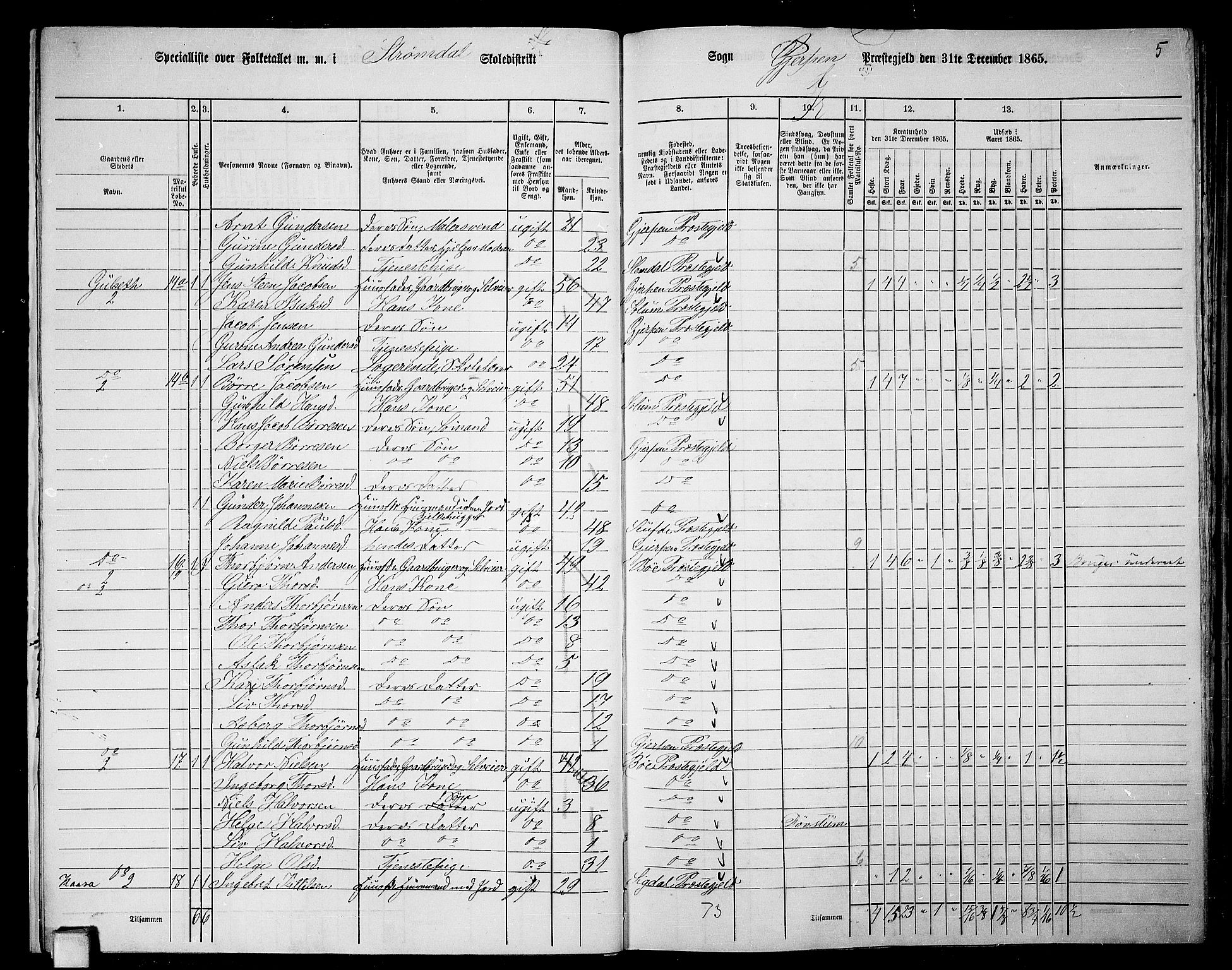 RA, 1865 census for Gjerpen, 1865, p. 21