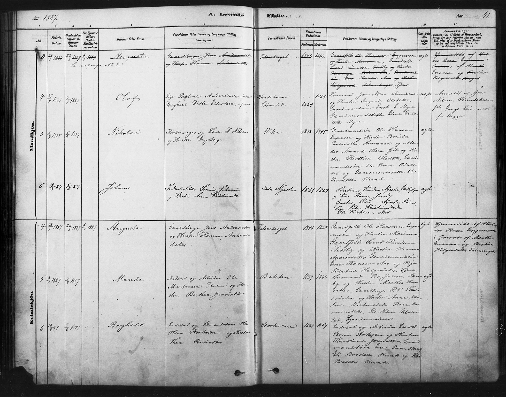 Åmot prestekontor, Hedmark, AV/SAH-PREST-056/H/Ha/Haa/L0012: Parish register (official) no. 12, 1878-1901, p. 41