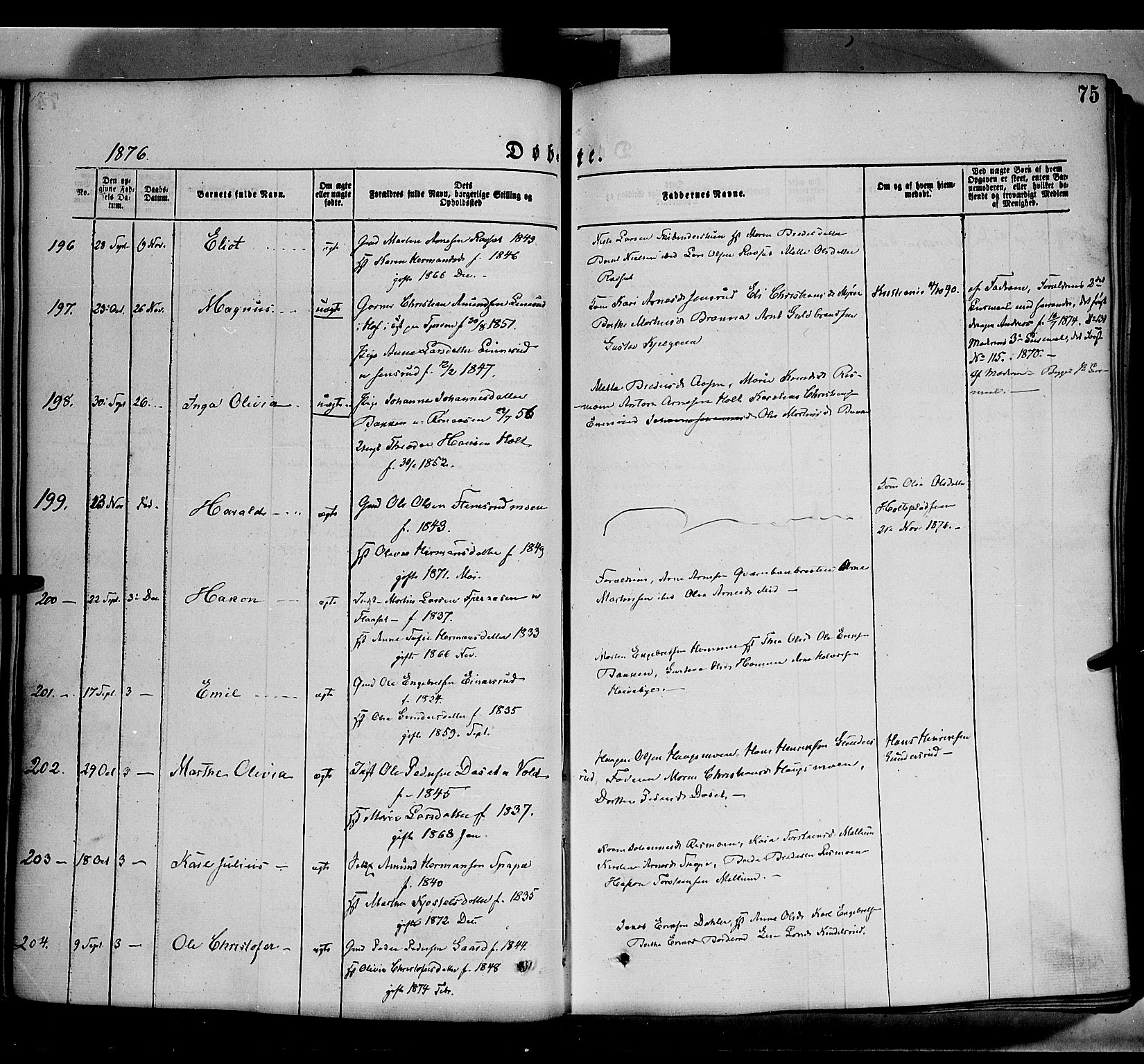 Grue prestekontor, AV/SAH-PREST-036/H/Ha/Haa/L0011: Parish register (official) no. 11, 1873-1880, p. 75