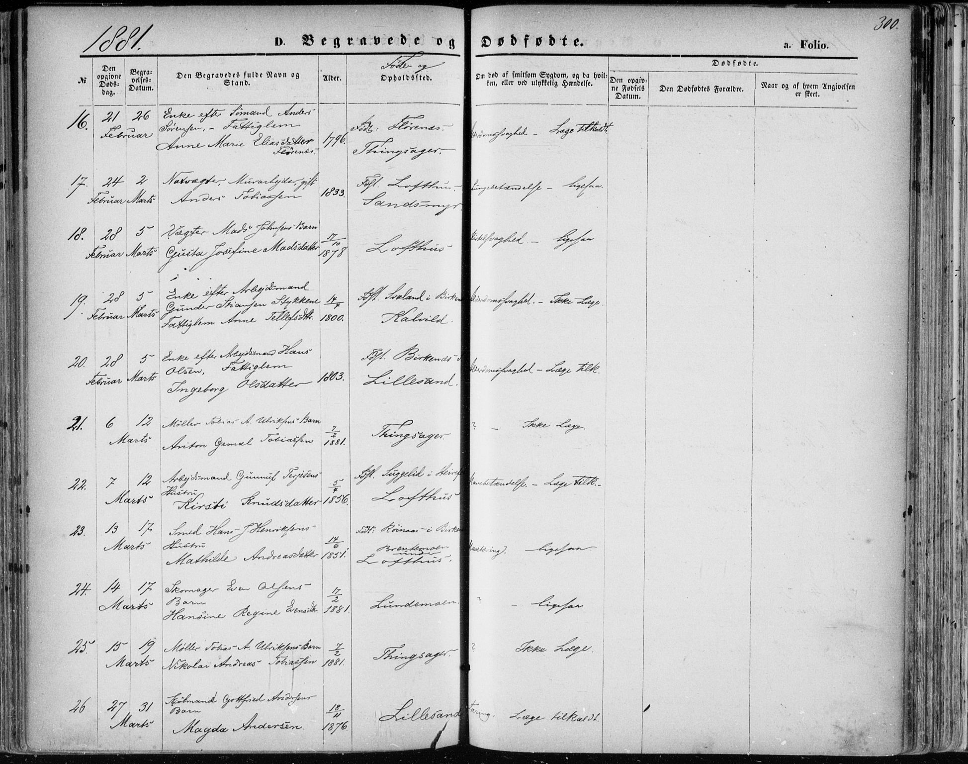 Vestre Moland sokneprestkontor, SAK/1111-0046/F/Fa/Fab/L0008: Parish register (official) no. A 8, 1873-1883, p. 300