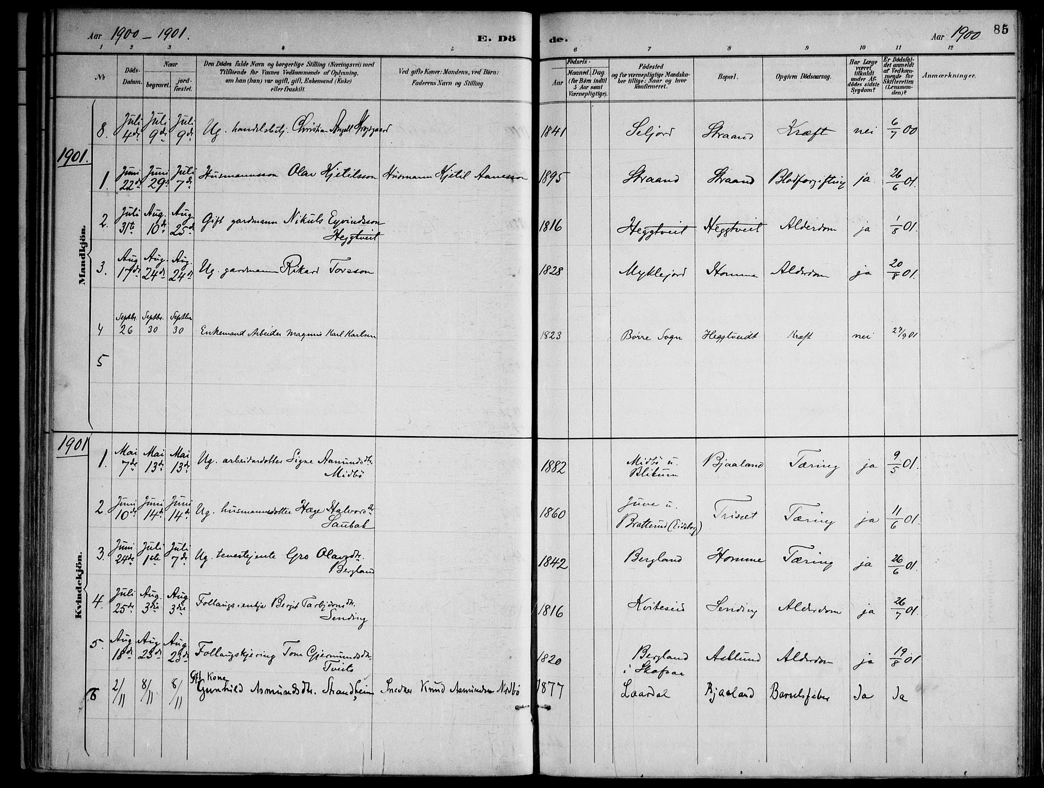 Lårdal kirkebøker, SAKO/A-284/F/Fa/L0007: Parish register (official) no. I 7, 1887-1906, p. 85