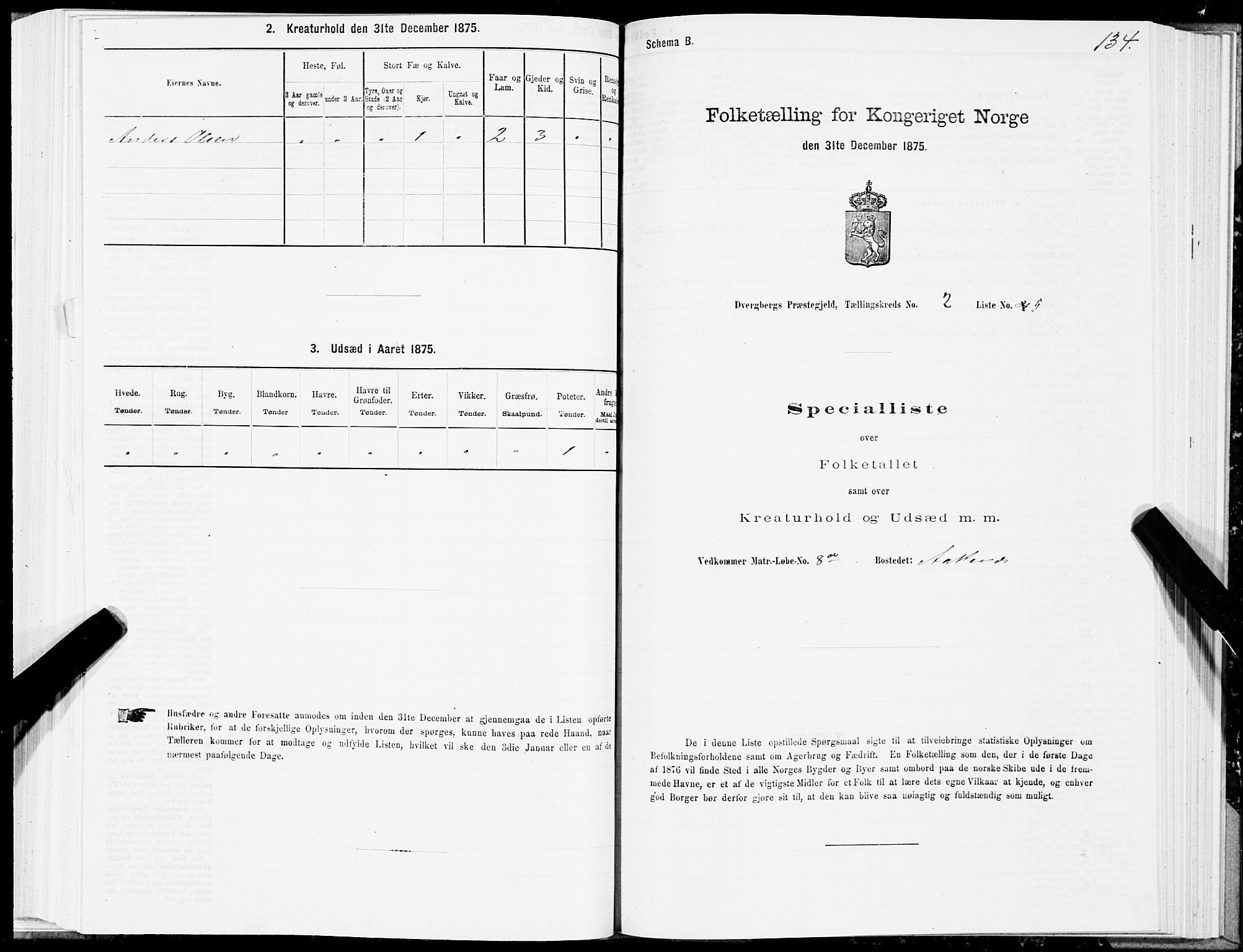 SAT, 1875 census for 1872P Dverberg, 1875, p. 1134