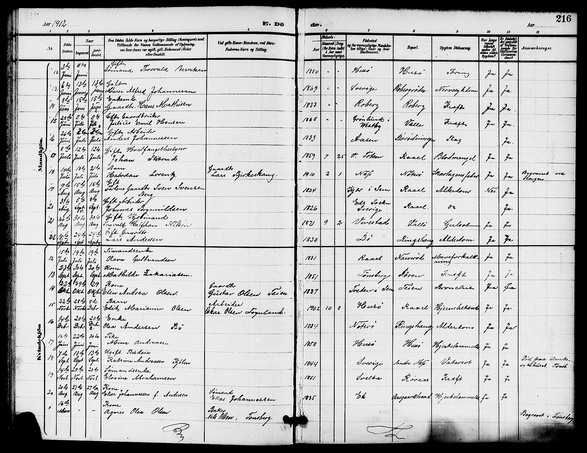 Sem kirkebøker, AV/SAKO-A-5/G/Gb/L0003: Parish register (copy) no. II 3, 1900-1913, p. 216