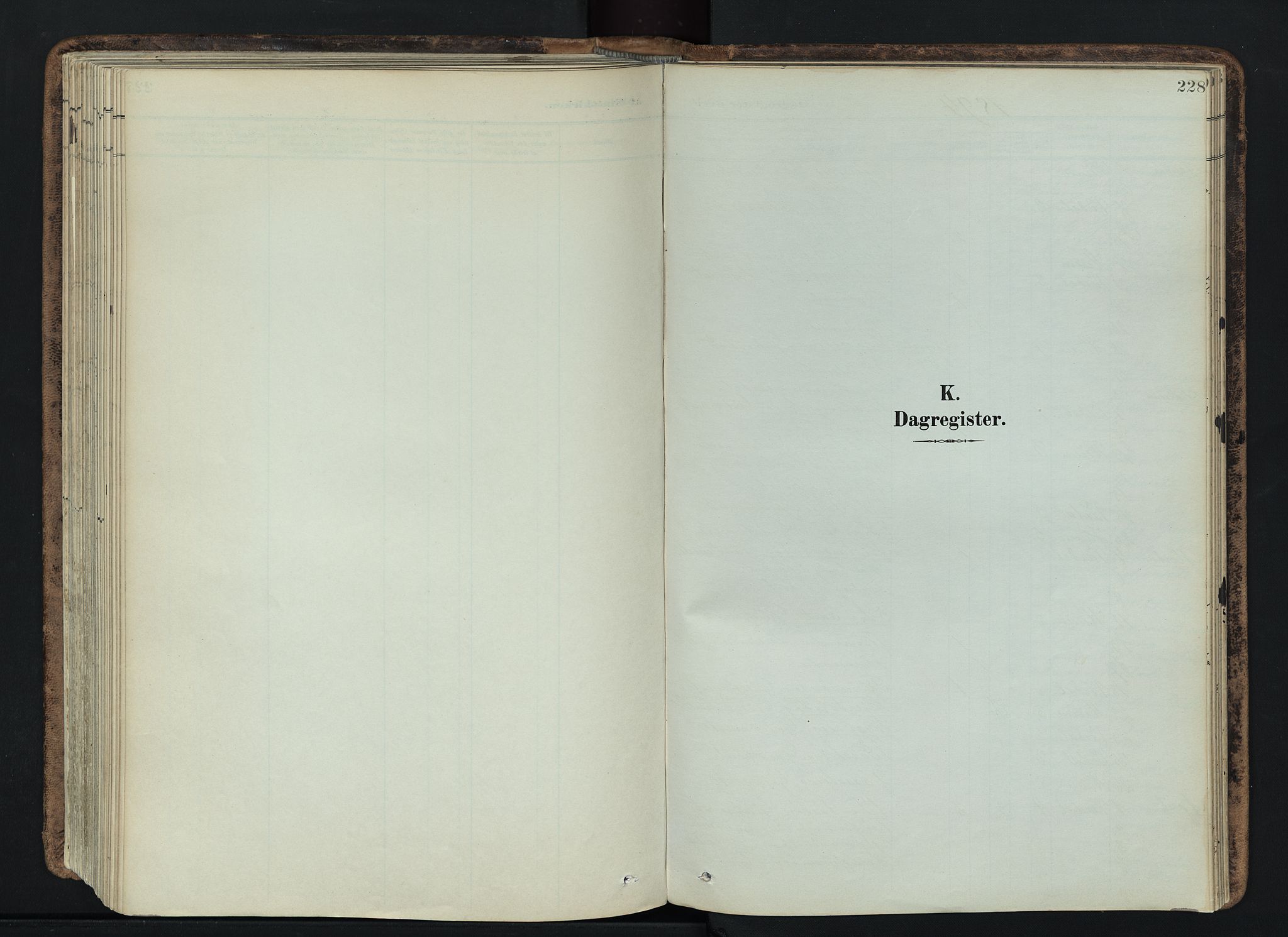 Vardal prestekontor, SAH/PREST-100/H/Ha/Haa/L0019: Parish register (official) no. 19, 1893-1907, p. 228