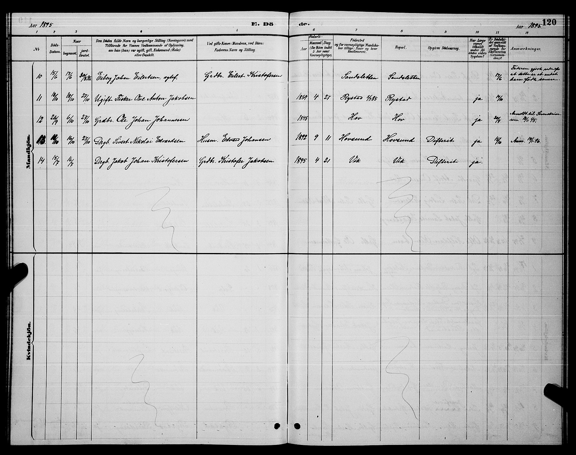 Ministerialprotokoller, klokkerbøker og fødselsregistre - Nordland, AV/SAT-A-1459/876/L1104: Parish register (copy) no. 876C03, 1886-1896, p. 120