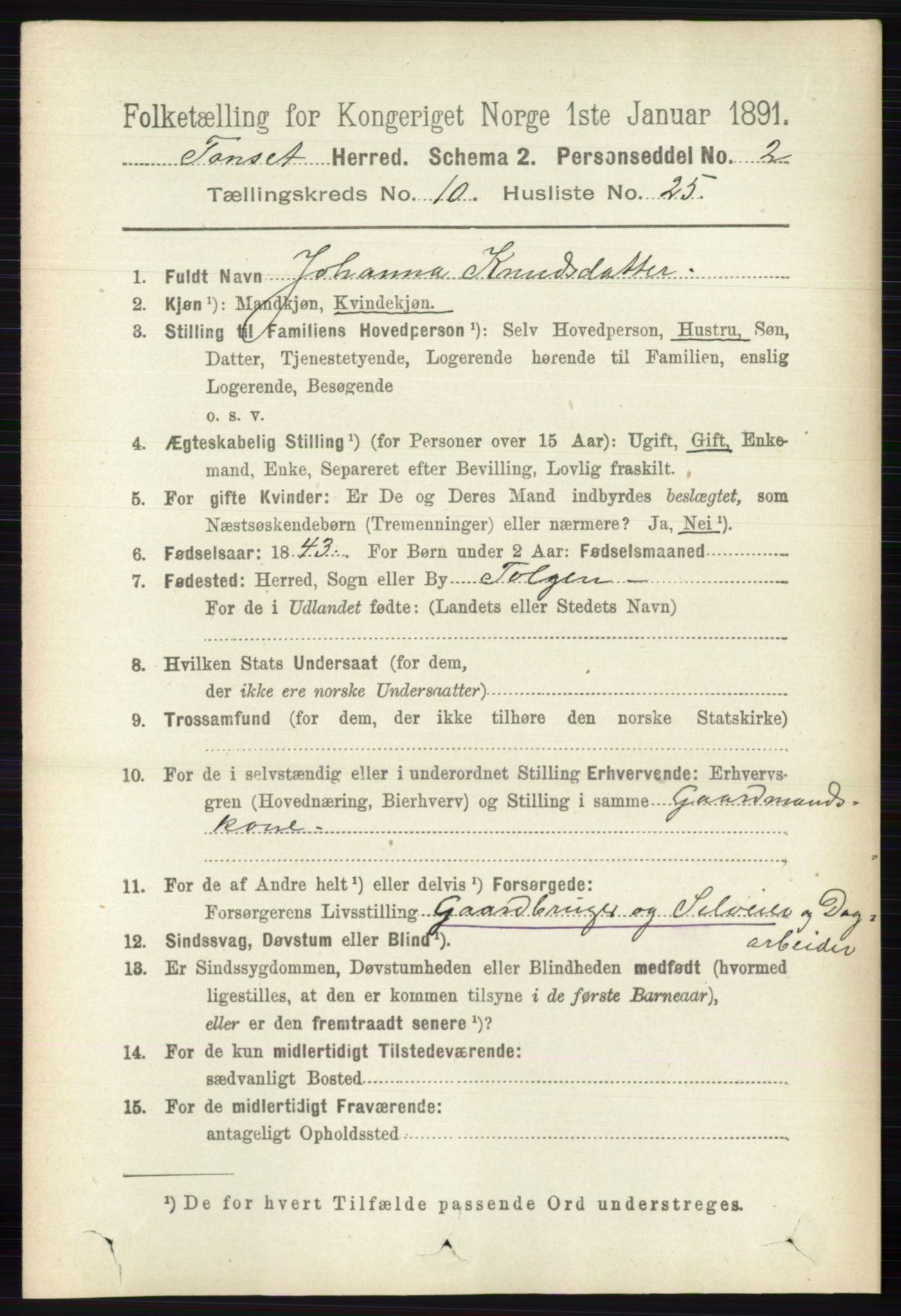 RA, 1891 census for 0437 Tynset, 1891, p. 2969