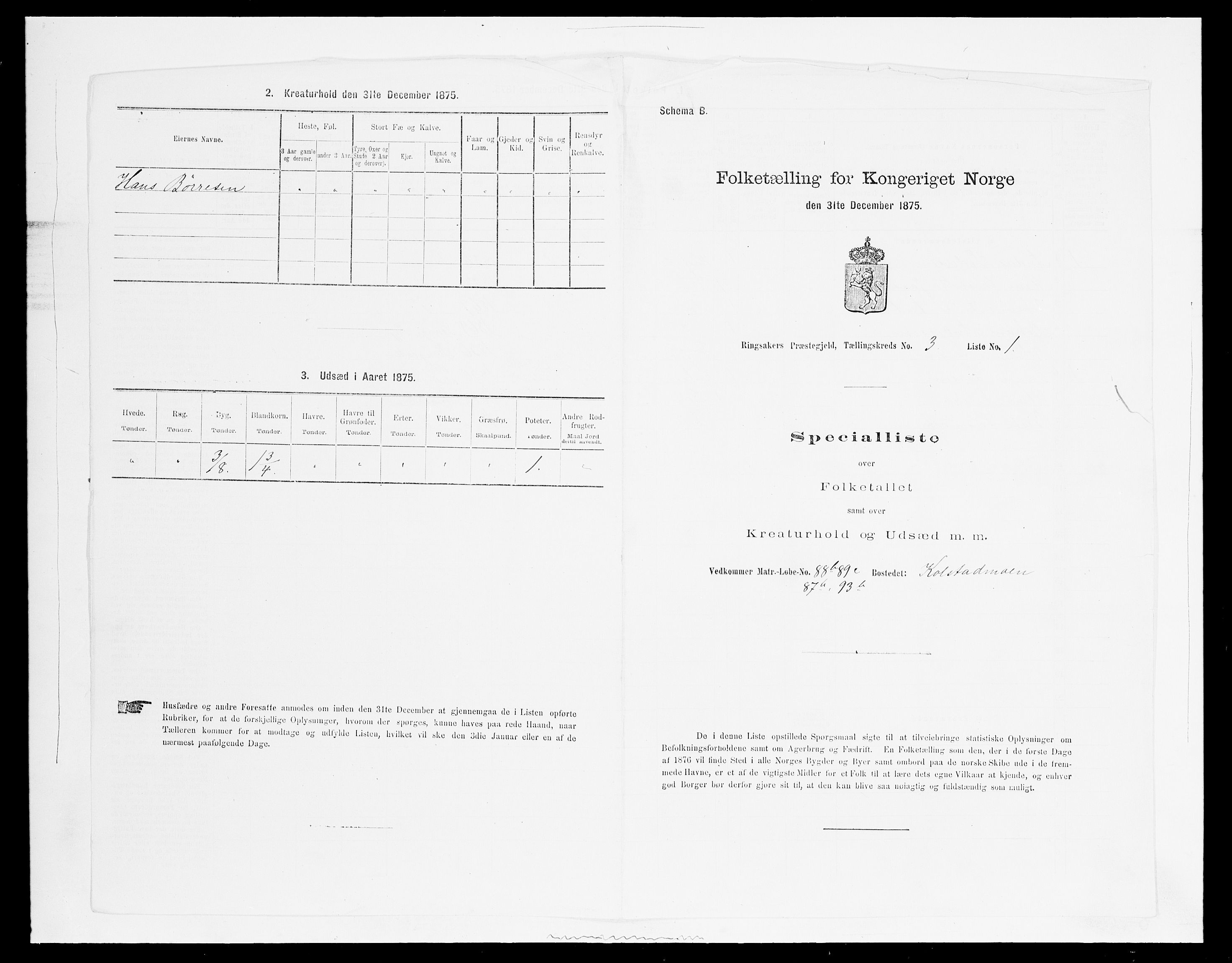 SAH, 1875 census for 0412P Ringsaker, 1875, p. 615