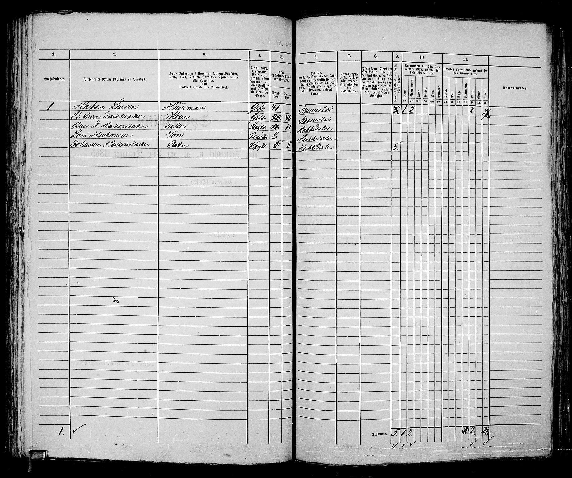 RA, 1865 census for Kristiania, 1865, p. 2457