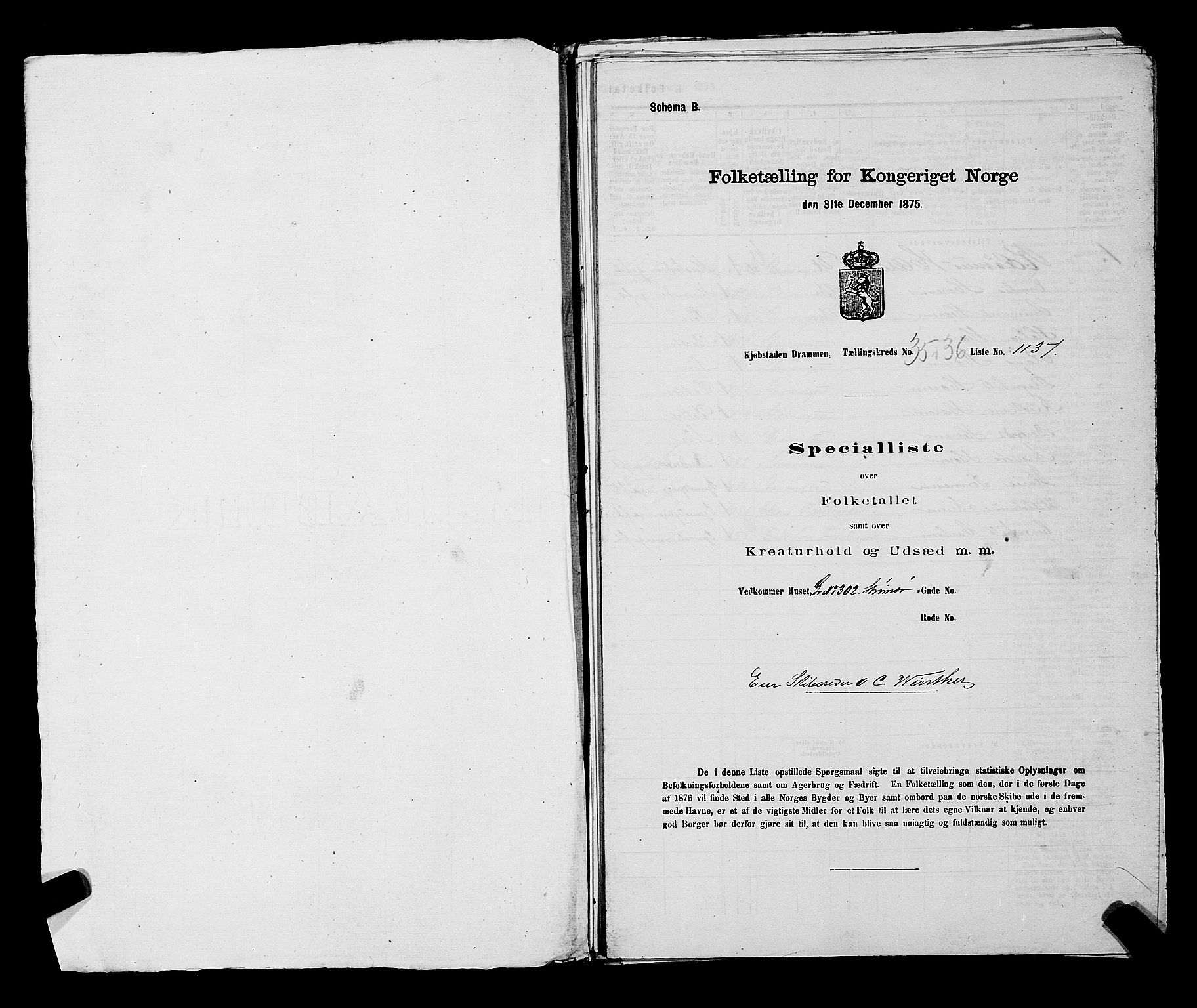 SAKO, 1875 census for 0602 Drammen, 1875, p. 3062