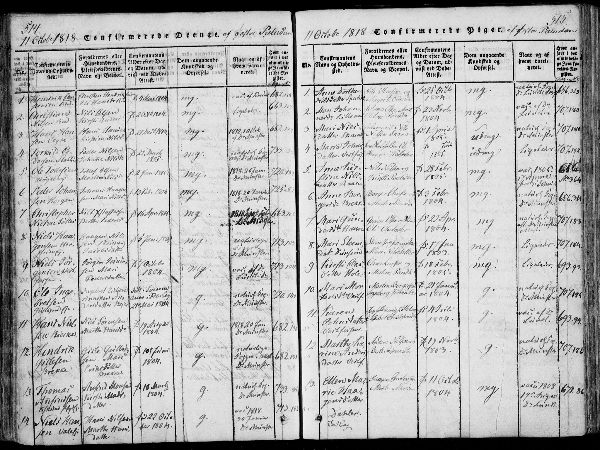 Eiker kirkebøker, AV/SAKO-A-4/F/Fa/L0011: Parish register (official) no. I 11, 1814-1827, p. 514-515