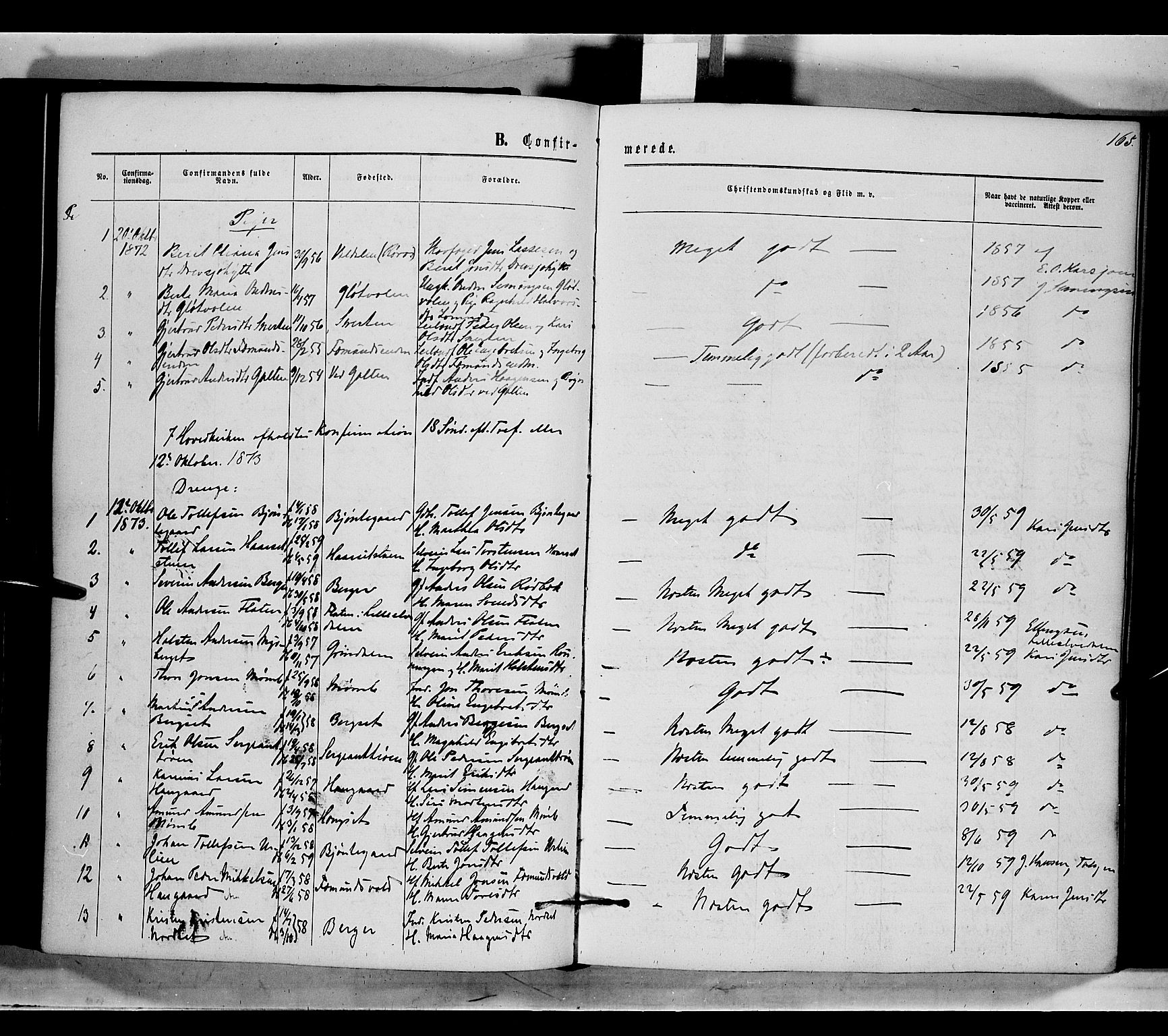 Rendalen prestekontor, SAH/PREST-054/H/Ha/Haa/L0006: Parish register (official) no. 6, 1867-1877, p. 165