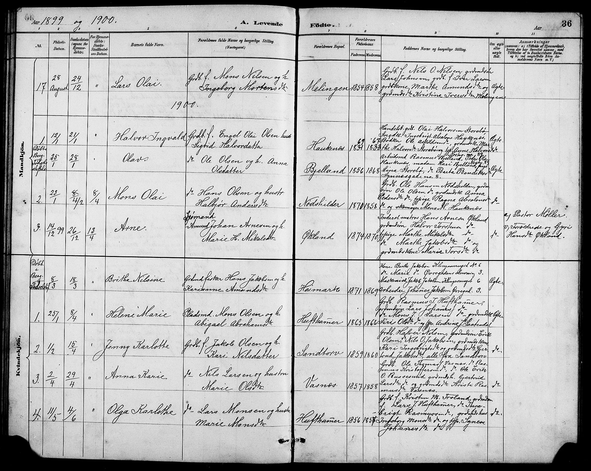 Austevoll sokneprestembete, AV/SAB-A-74201/H/Ha/Hab/Haba/L0003: Parish register (copy) no. A 3, 1889-1900, p. 36