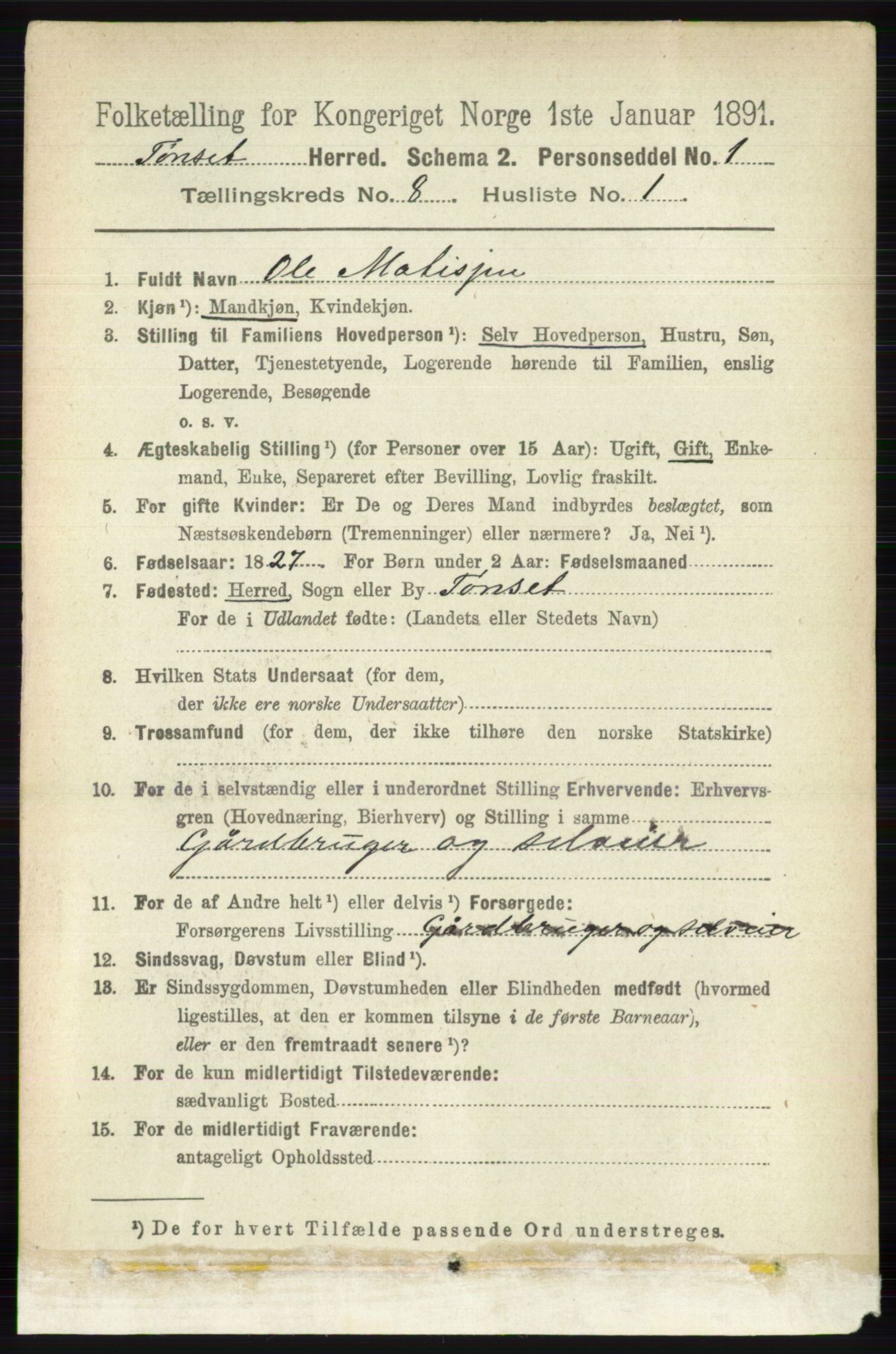 RA, 1891 census for 0437 Tynset, 1891, p. 2075