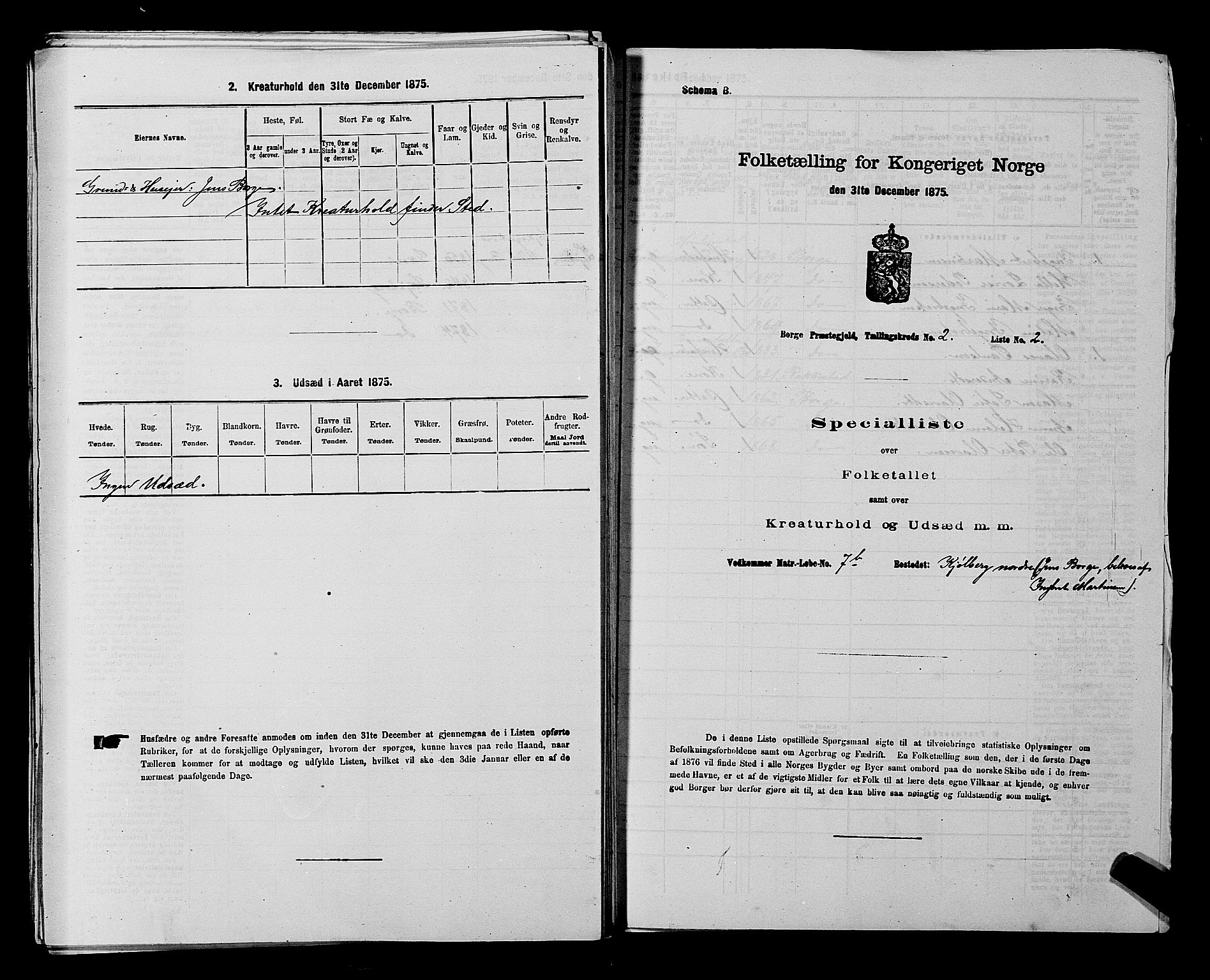 RA, 1875 census for 0113P Borge, 1875, p. 379