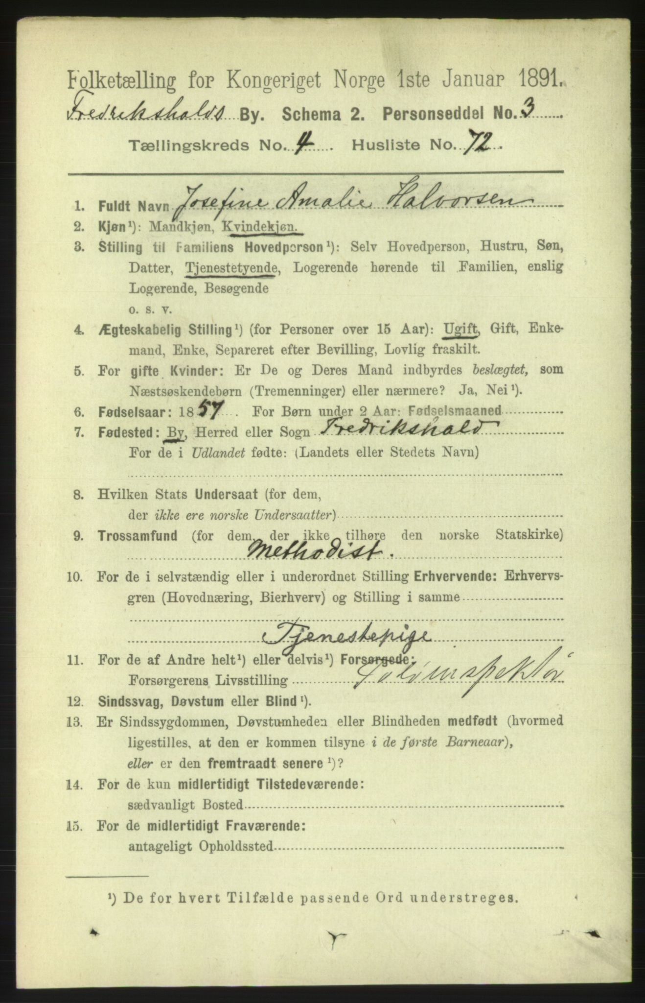 RA, 1891 census for 0101 Fredrikshald, 1891, p. 4047