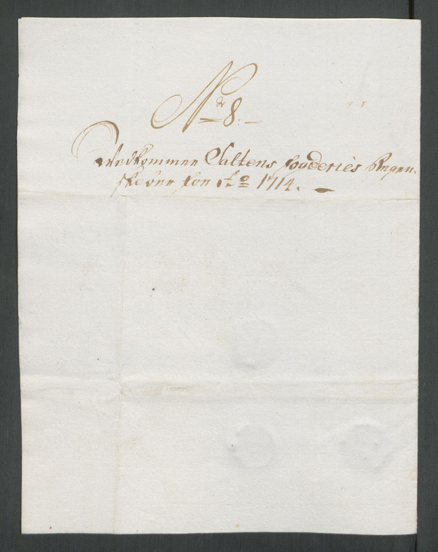 Rentekammeret inntil 1814, Reviderte regnskaper, Fogderegnskap, AV/RA-EA-4092/R66/L4584: Fogderegnskap Salten, 1714, p. 101