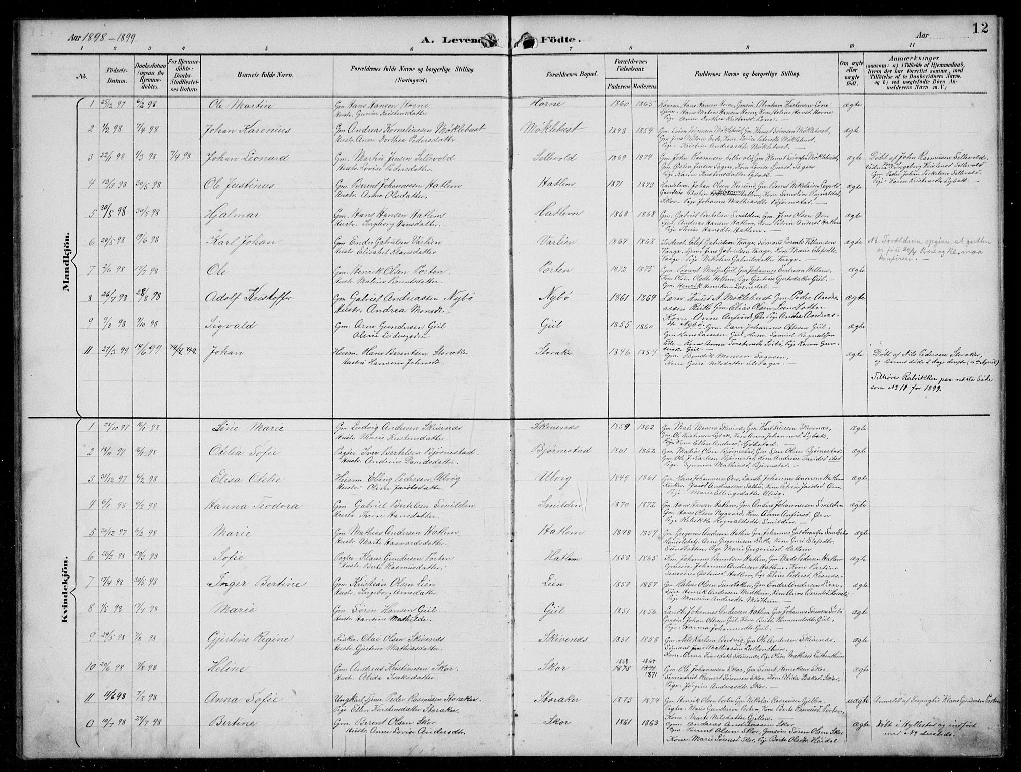 Hyllestad sokneprestembete, AV/SAB-A-80401: Parish register (copy) no. C 3, 1894-1913, p. 12