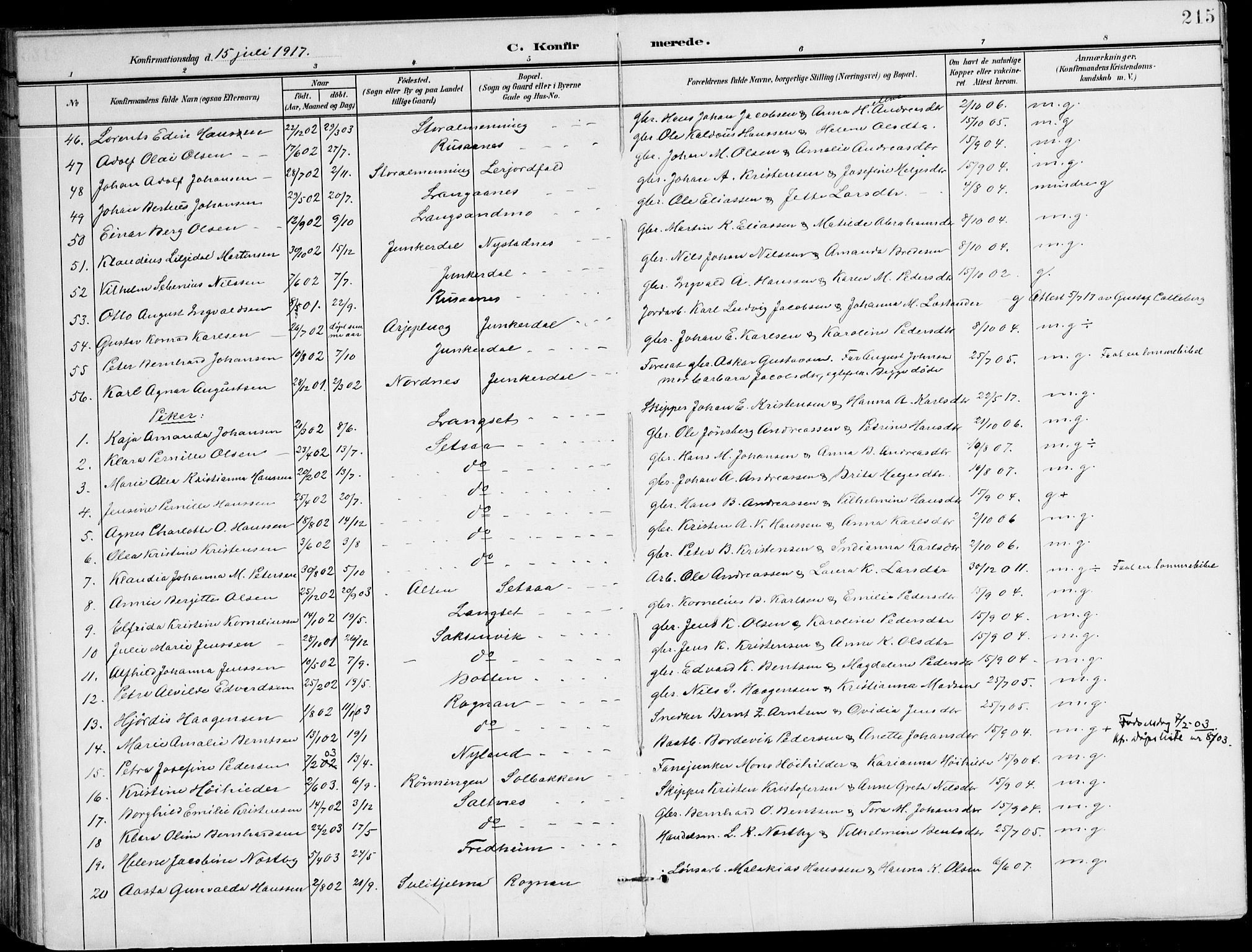 Ministerialprotokoller, klokkerbøker og fødselsregistre - Nordland, AV/SAT-A-1459/847/L0672: Parish register (official) no. 847A12, 1902-1919, p. 215