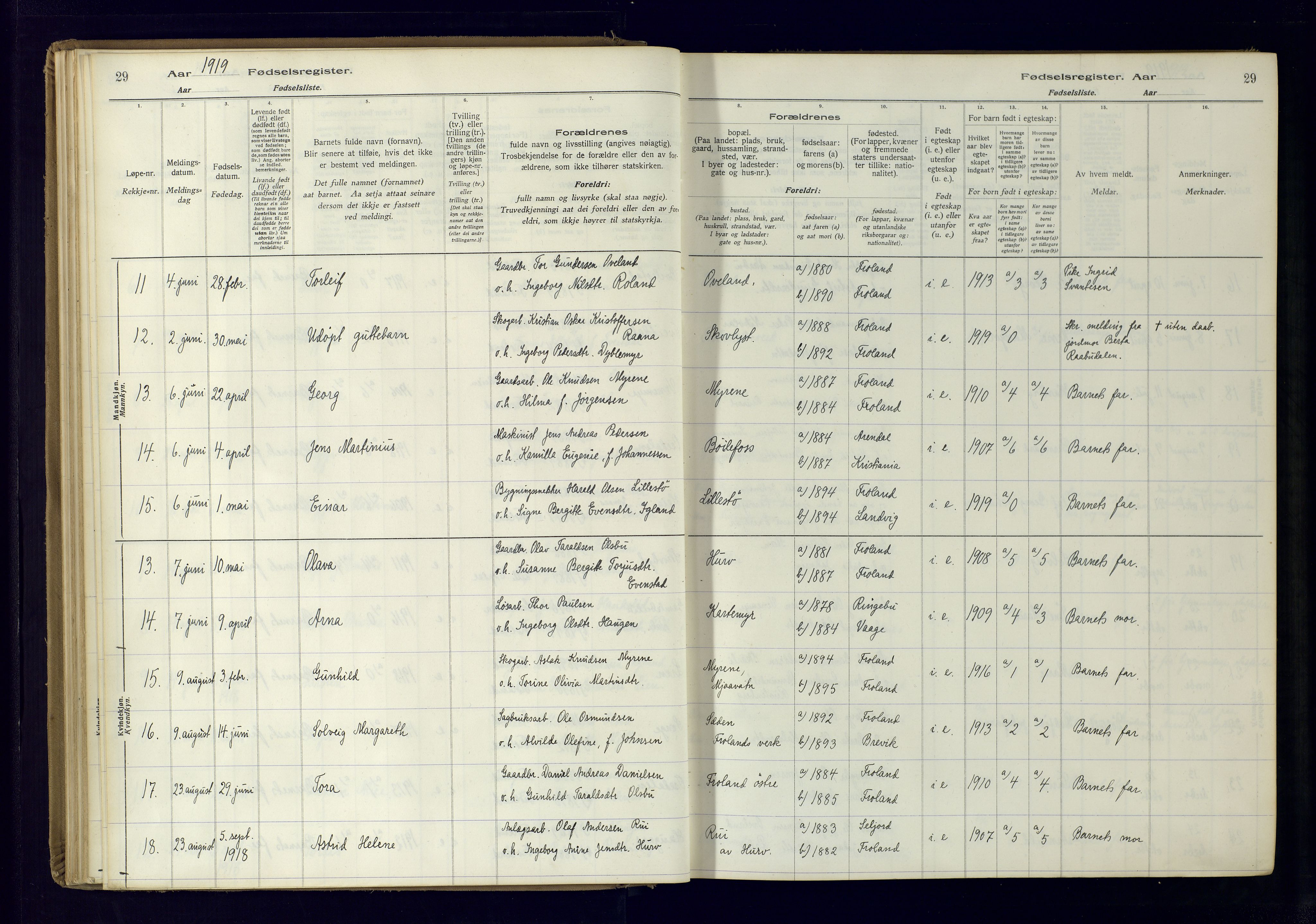 Froland sokneprestkontor, AV/SAK-1111-0013/J/Ja/L0001: Birth register no. 1, 1916-1950, p. 29