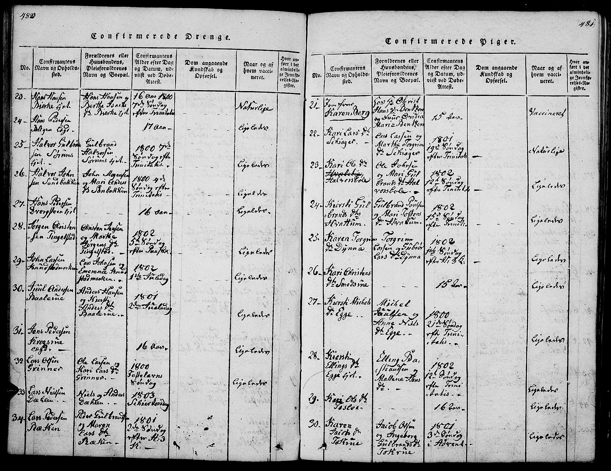 Gran prestekontor, AV/SAH-PREST-112/H/Ha/Hab/L0001: Parish register (copy) no. 1, 1815-1824, p. 480-481