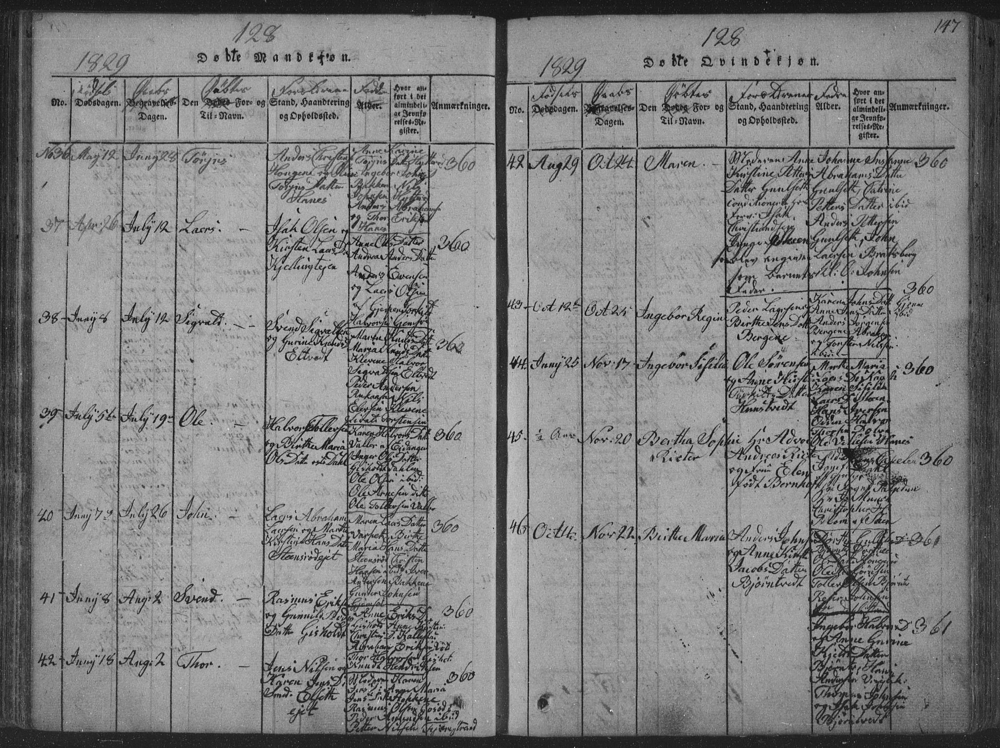 Solum kirkebøker, SAKO/A-306/F/Fa/L0004: Parish register (official) no. I 4, 1814-1833, p. 147