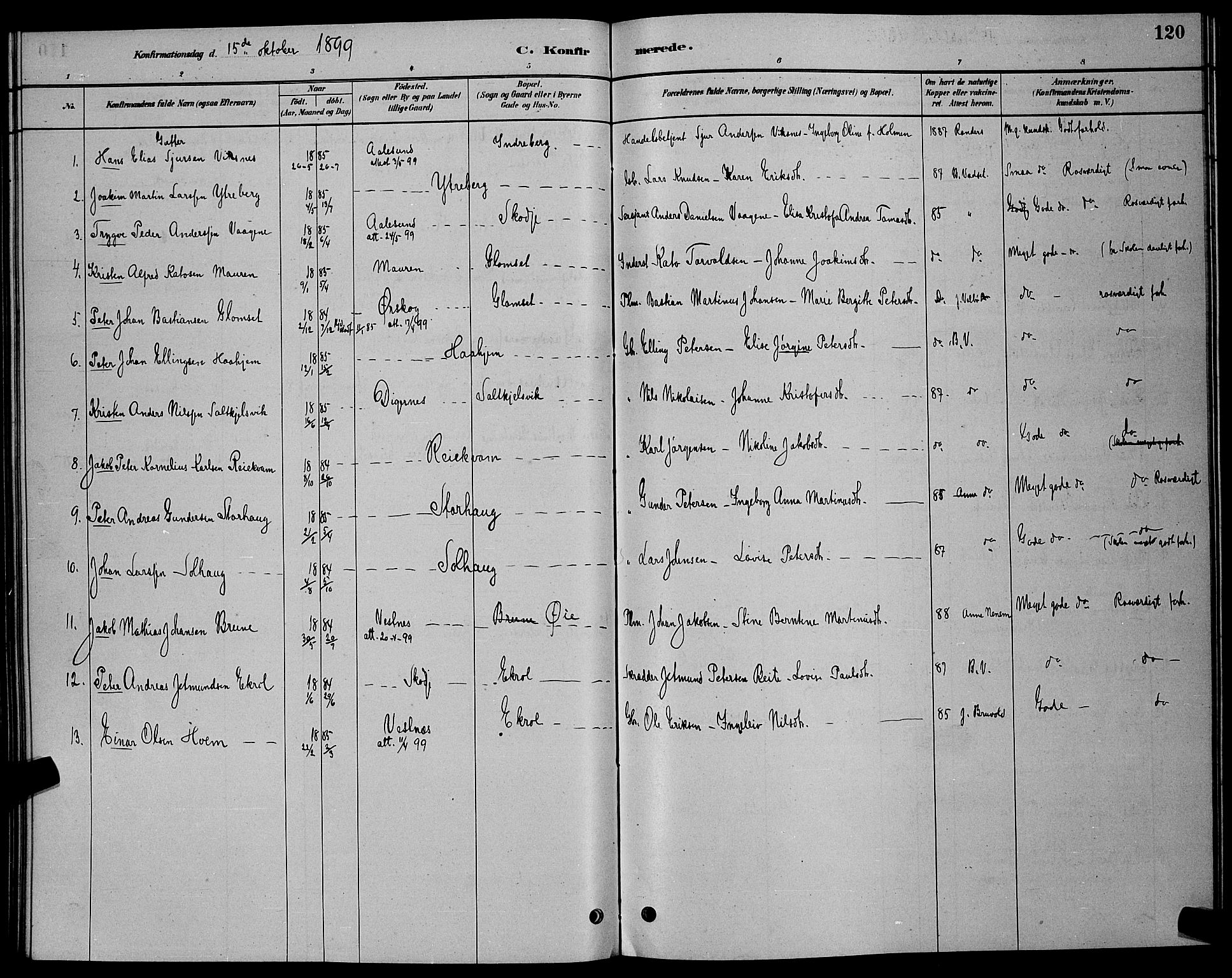 Ministerialprotokoller, klokkerbøker og fødselsregistre - Møre og Romsdal, AV/SAT-A-1454/524/L0365: Parish register (copy) no. 524C06, 1880-1899, p. 120